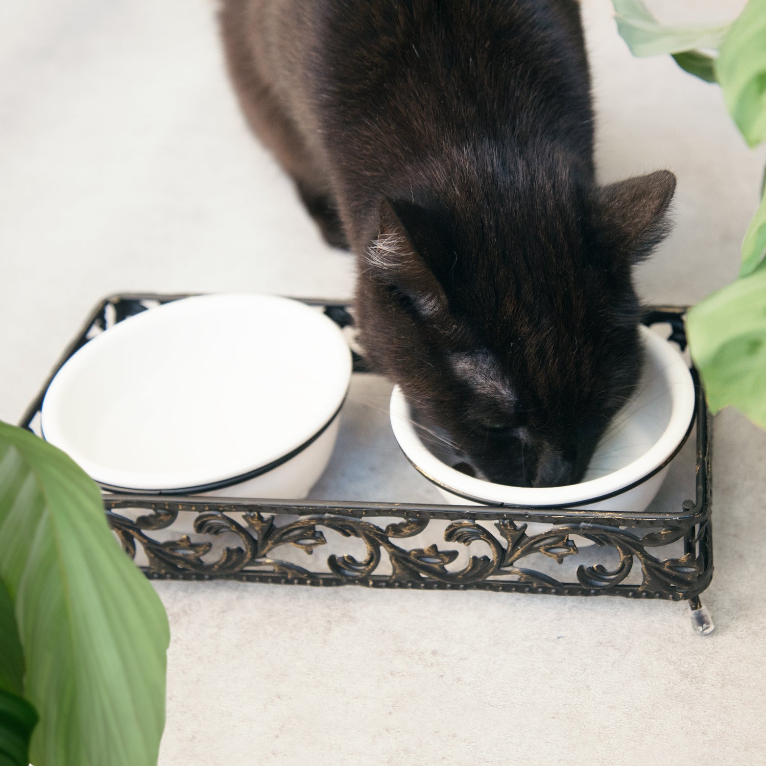 Navaris Ceramic Pet Bowl Set of 2 - Σετ με 2 Μπολ Φαγητού και Νερού με Μεταλλική Βάση για Κατοικίδια - 190ml - 50175.01