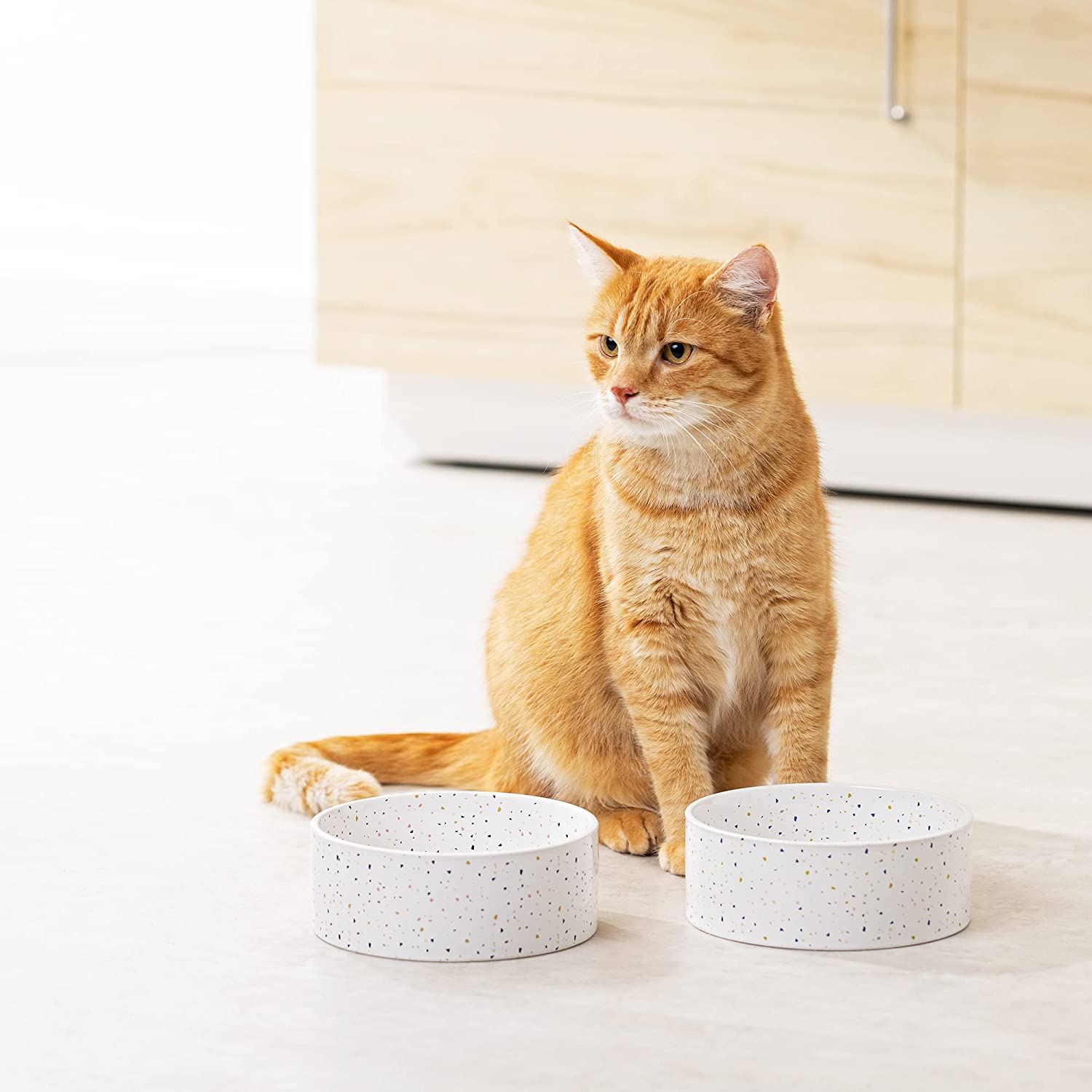 Navaris Σετ με 2 Κεραμικά Μπολ Φαγητού και Νερού για Κατοικίδια - White - 55231.02