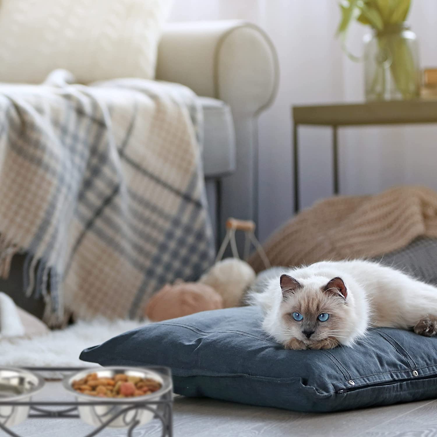 Relaxdays Σιδερένια Βάση με 2 Μπολ από Ανοξείδωτο Ατσάλι για Κατοικίδια - 300 ml - Silver / Black - 4052025373887