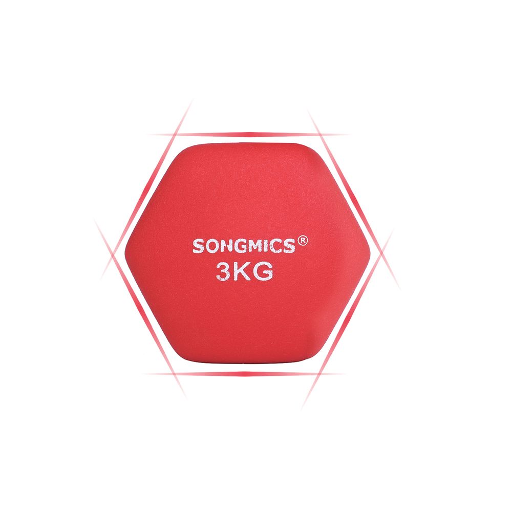 Songmics Σετ με 2 Βαράκια - 3 Kg - Red - SYL66RD