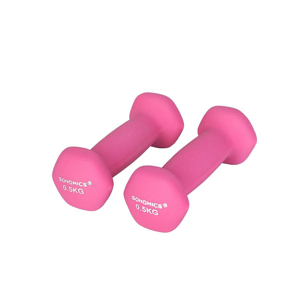 Songmics Σετ με 2 Βαράκια - 0.5 kg - Pink - SYL61PK