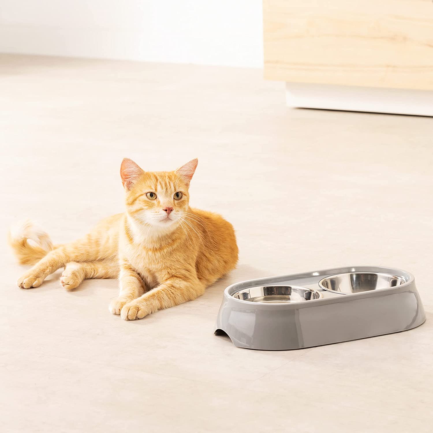 Navaris Σετ με 2 Μπολ Φαγητού και Νερού από Ανοξείδωτο Ατσάλι με Βάση για Κατοικίδια - 58235.2