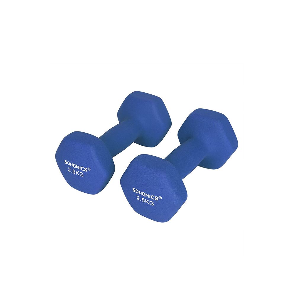 Songmics Σετ με 2 Βαράκια - 2.5 kg - Blue - SYL65BU