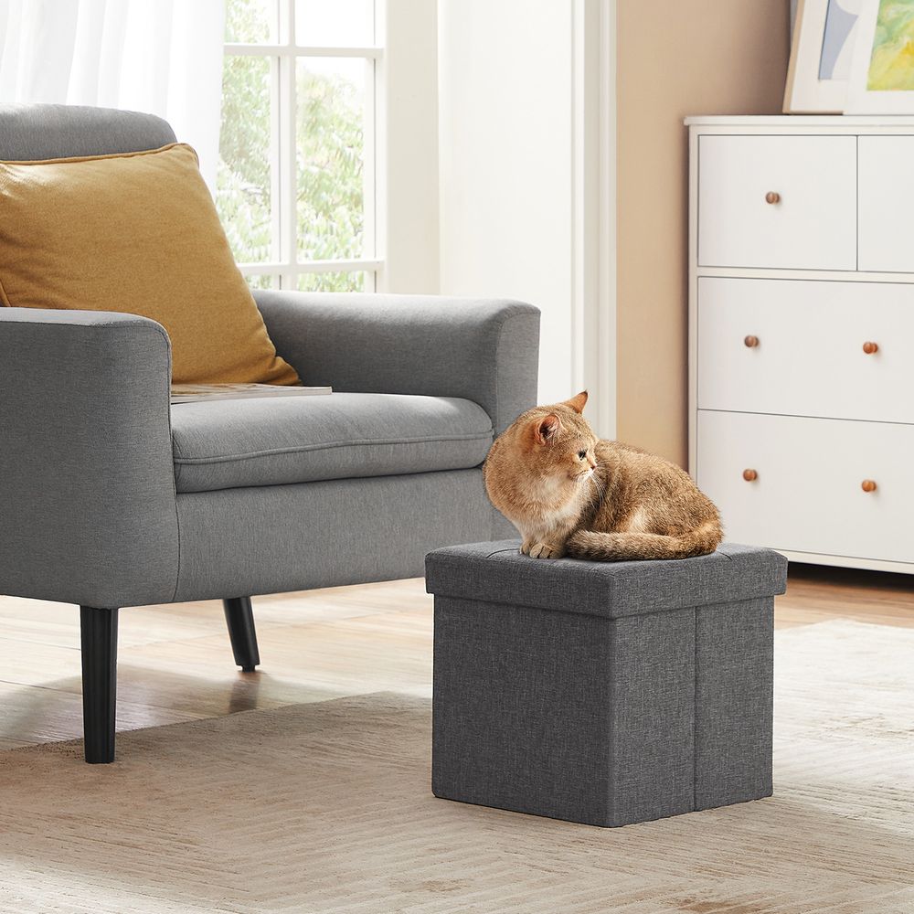 Songmics Σκαμπό με Αποθηκευτικό Χώρο - 30 x 30 cm - Dark grey - LSF028G01