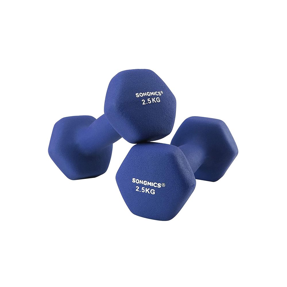 Songmics Σετ με 2 Βαράκια - 2.5 kg - Blue - SYL65BU