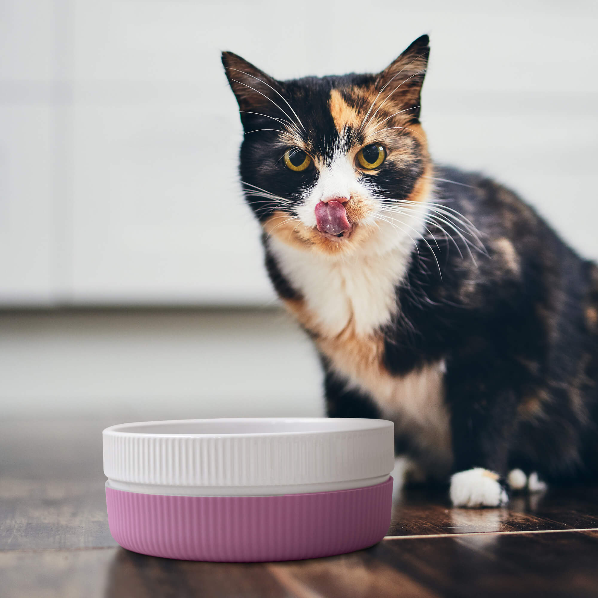 Navaris Σετ με 2 Κεραμικά Μπολ για Κατοικίδια 700ml - Pink - 53411.07