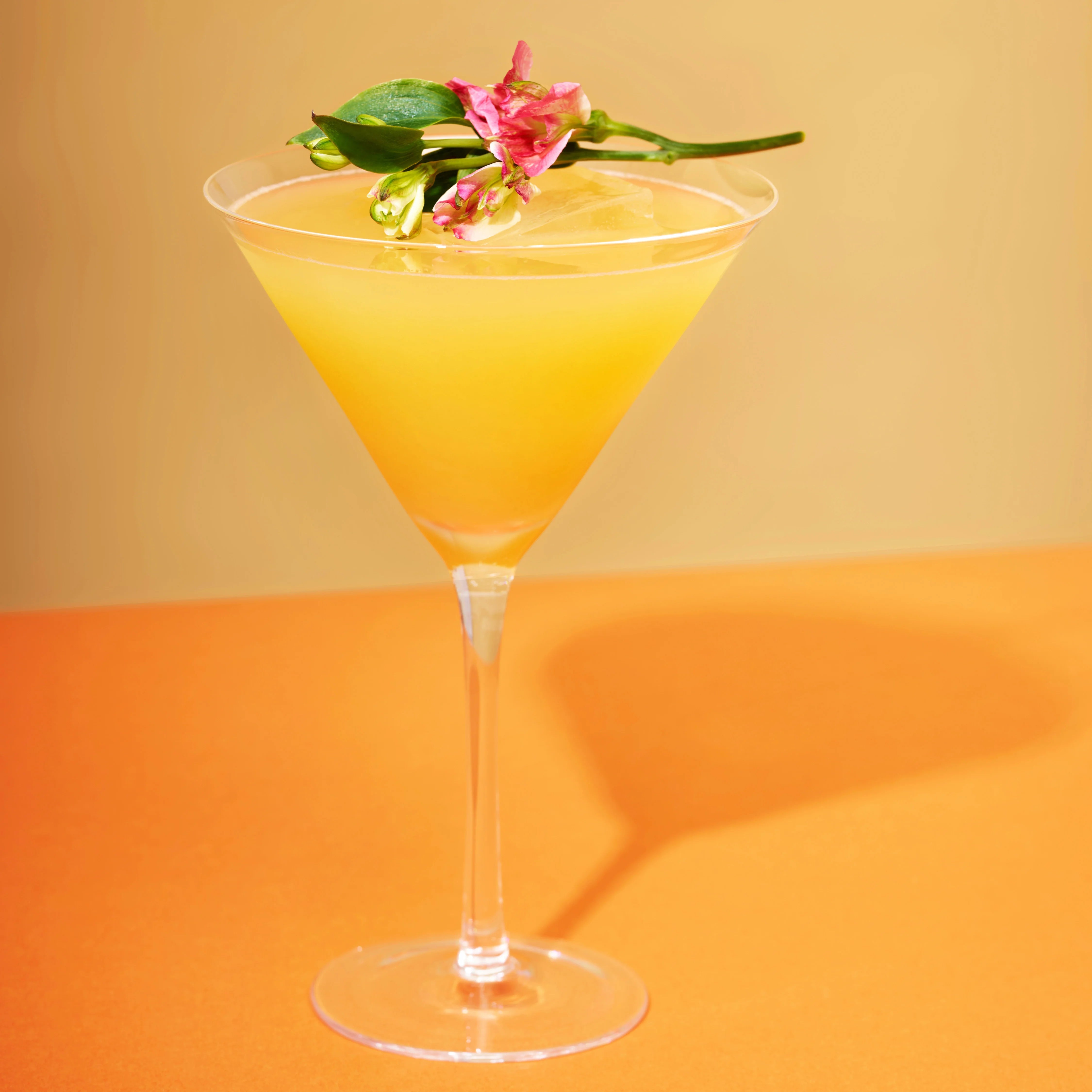 Viski Σετ με 2 Κρυστάλλινα Ποτήρια Martini - 266 ml - Raye