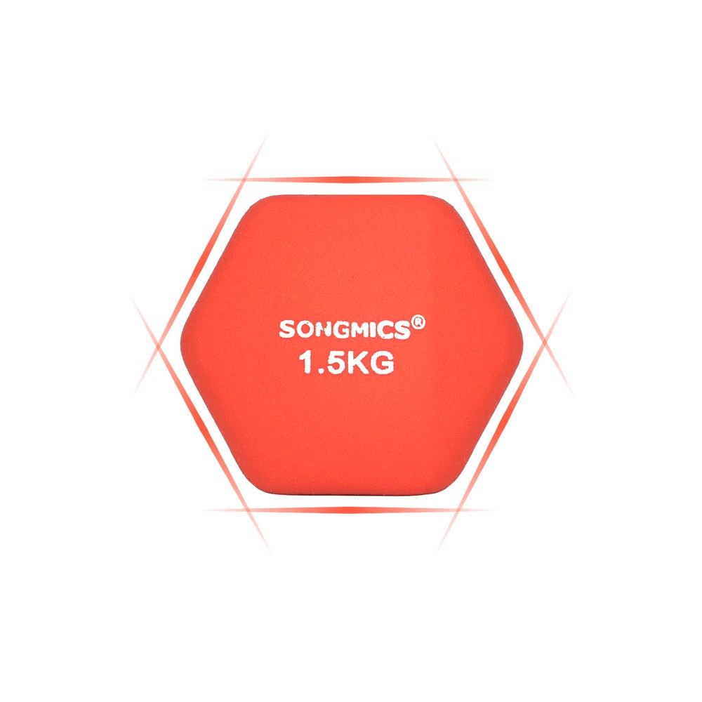 Songmics Σετ με 2 Βαράκια - 1,5 kg - Orange - SYL63OG