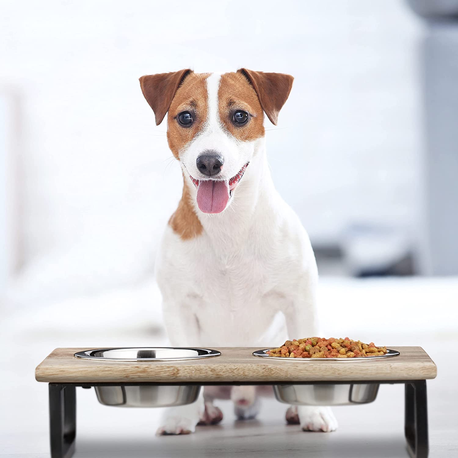 Relaxdays Ξύλινη Βάση από Μάνγκο με 2 Μπολ από Ανοξείδωτο Ατσάλι για Κατοικίδια - 250 ml - Natural / Silver - 4052025373818