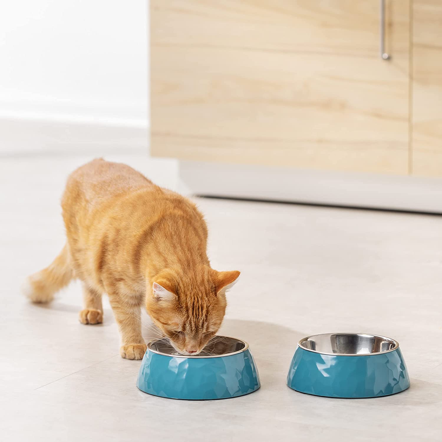 Navaris Σετ με 2 Μπολ για Κατοικίδια - Blue - 55862.1.04