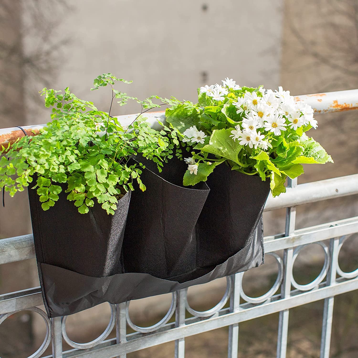 Navaris Σετ με 4 Κρεμαστές Ζαρντινιέρες από Τσόχα - Black - 55923.01