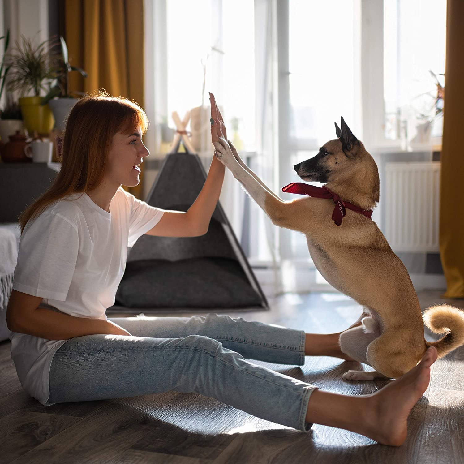 Relaxdays Σκηνή σε Στυλ Τeepee από Τσόχα για Γάτες και Σκύλους - 70,5 x 59,5 x 59 cm - Dark Grey - 4052025913519