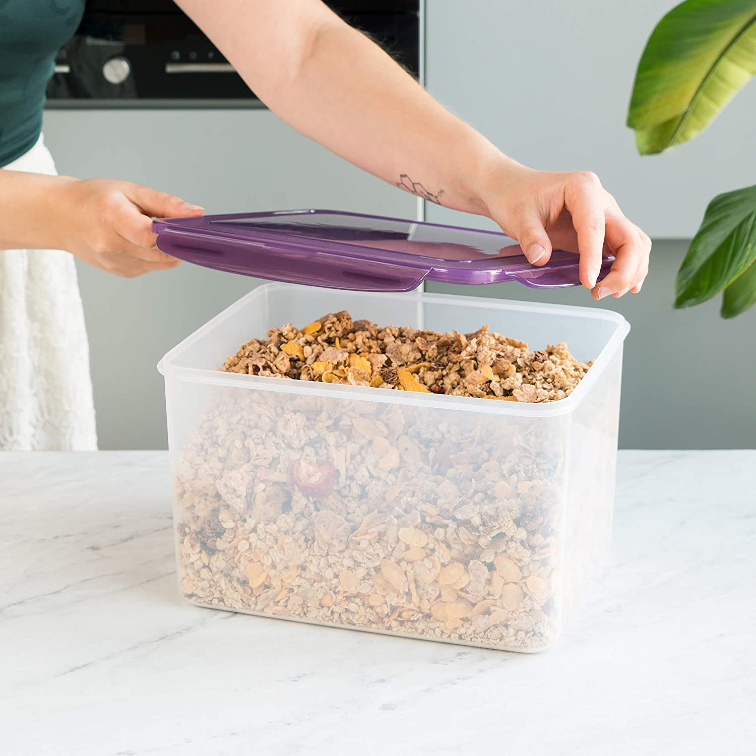 Navaris Δοχείο Αποθήκευσης Φαγητού με Καπάκι - Violet - 50790.01