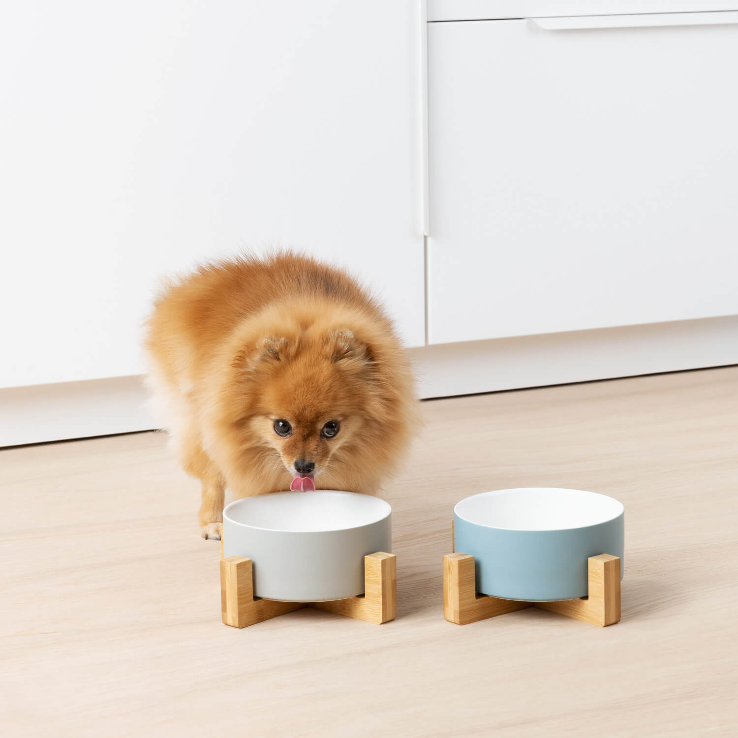 Navaris Σετ με 2 Κεραμικά Μπολ Φαγητού και Νερού 850ml με Βάση από Μπαμπού για Κατοικίδια - Blue - Grey - 55430.2.22