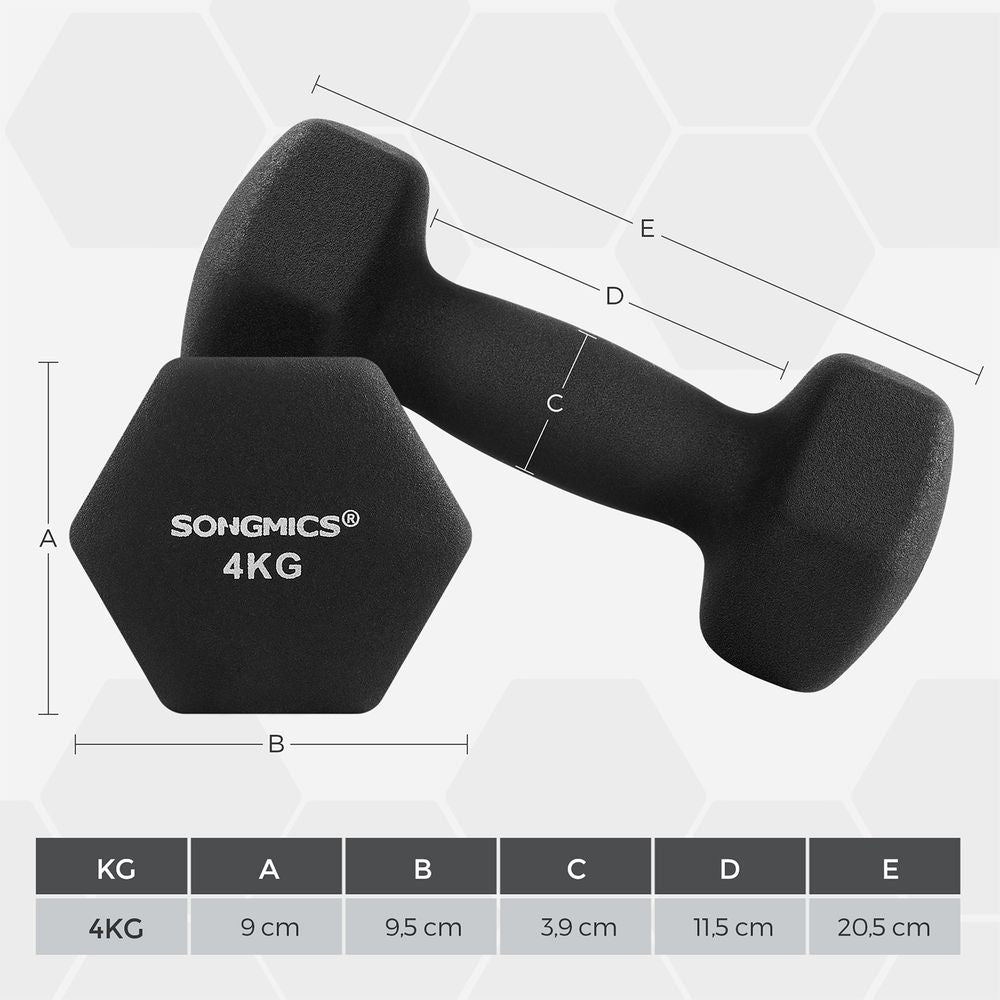 Songmics Σετ με 2 Βαράκια - 4 kg - Black - SYL068BK