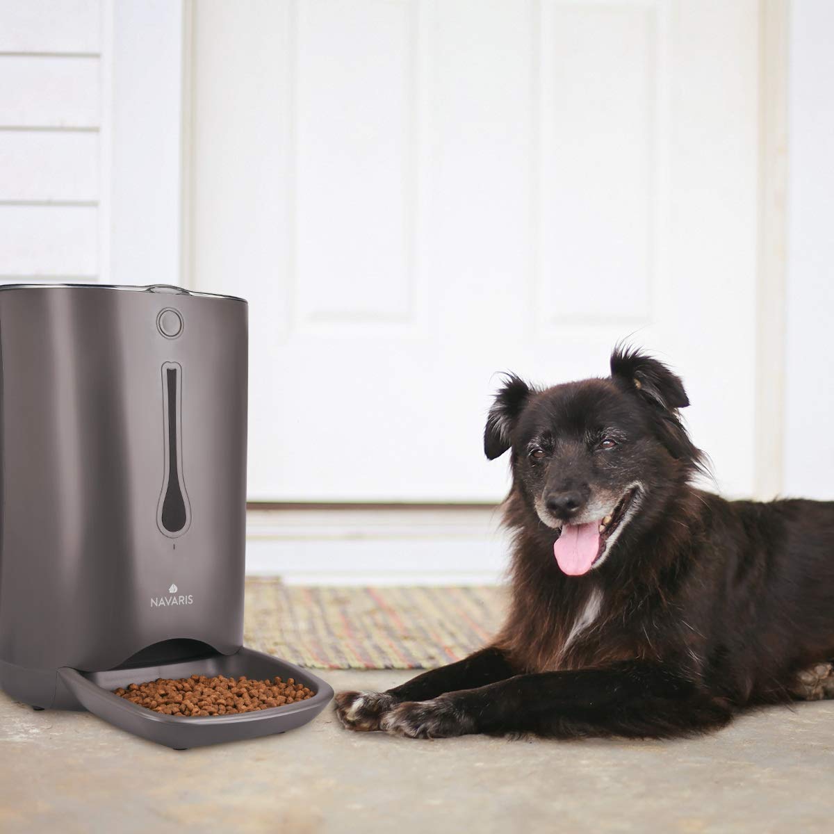 Navaris Automatic Pet Food Dispenser - Αυτόματη Ταΐστρα Φαγητού με Χρονοδιακόπτη για Κατοικίδιο - 6L - Black - 44769.03
