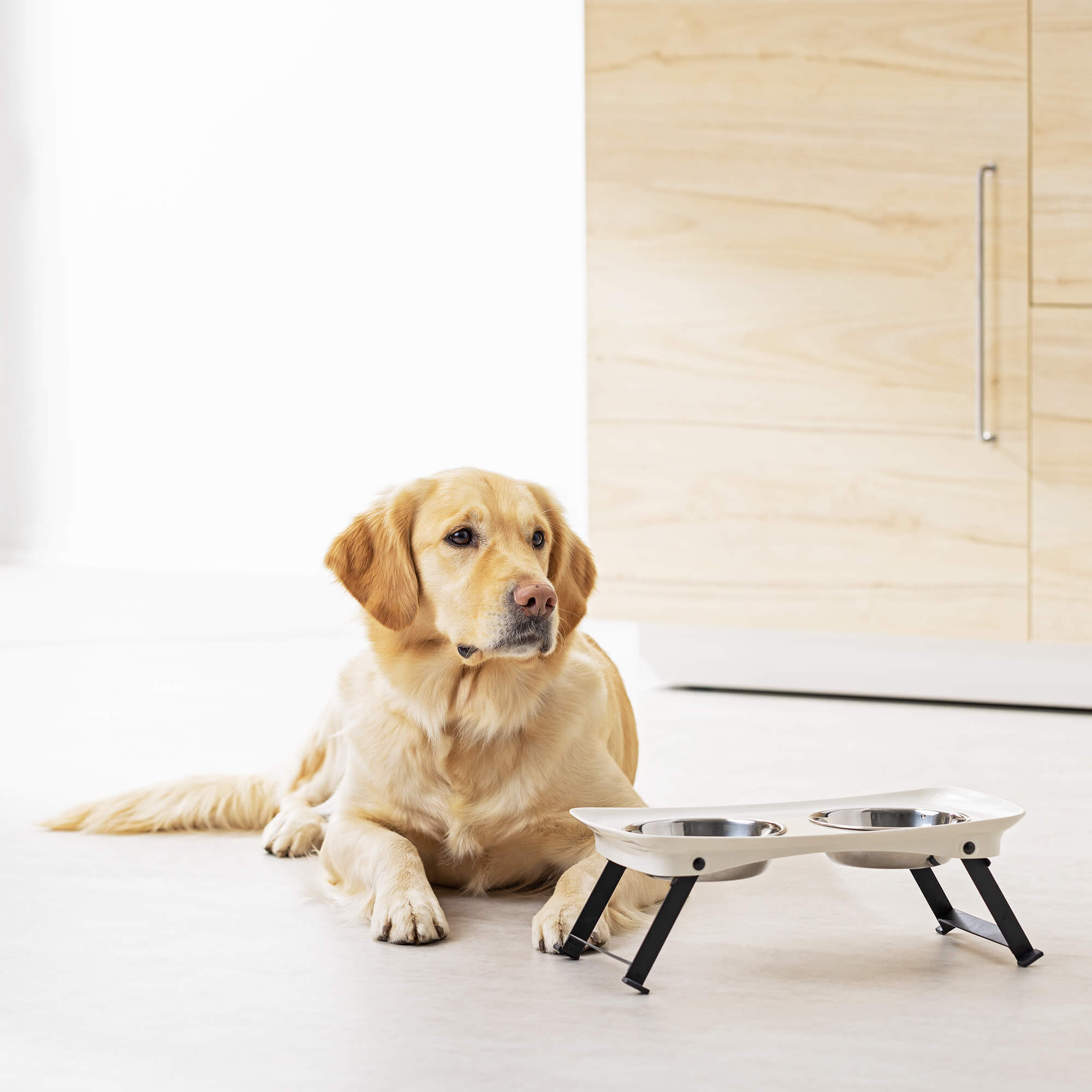 Navaris Αναδιπλούμενο Σταντ με 2 Μπολ για Νερό και Τροφή για Κατοικίδια - 350 ml - Beige / Black - 55860.02