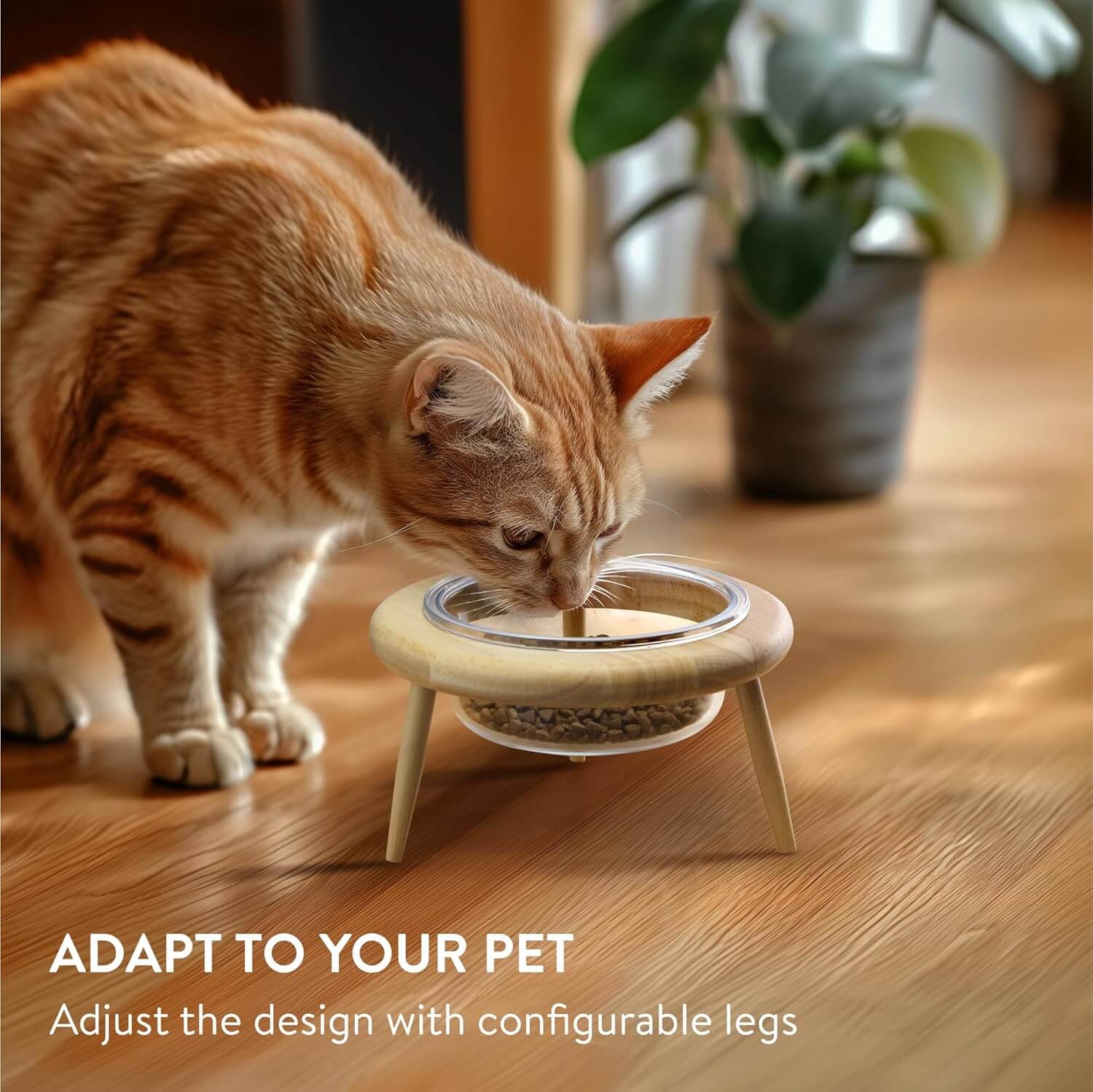 Navaris Ανυψωμένο Γυάλινο Μπολ Φαγητού με Ξύλινη Βάση για Κατοικίδια - 600 ml - Διάφανο / Wood