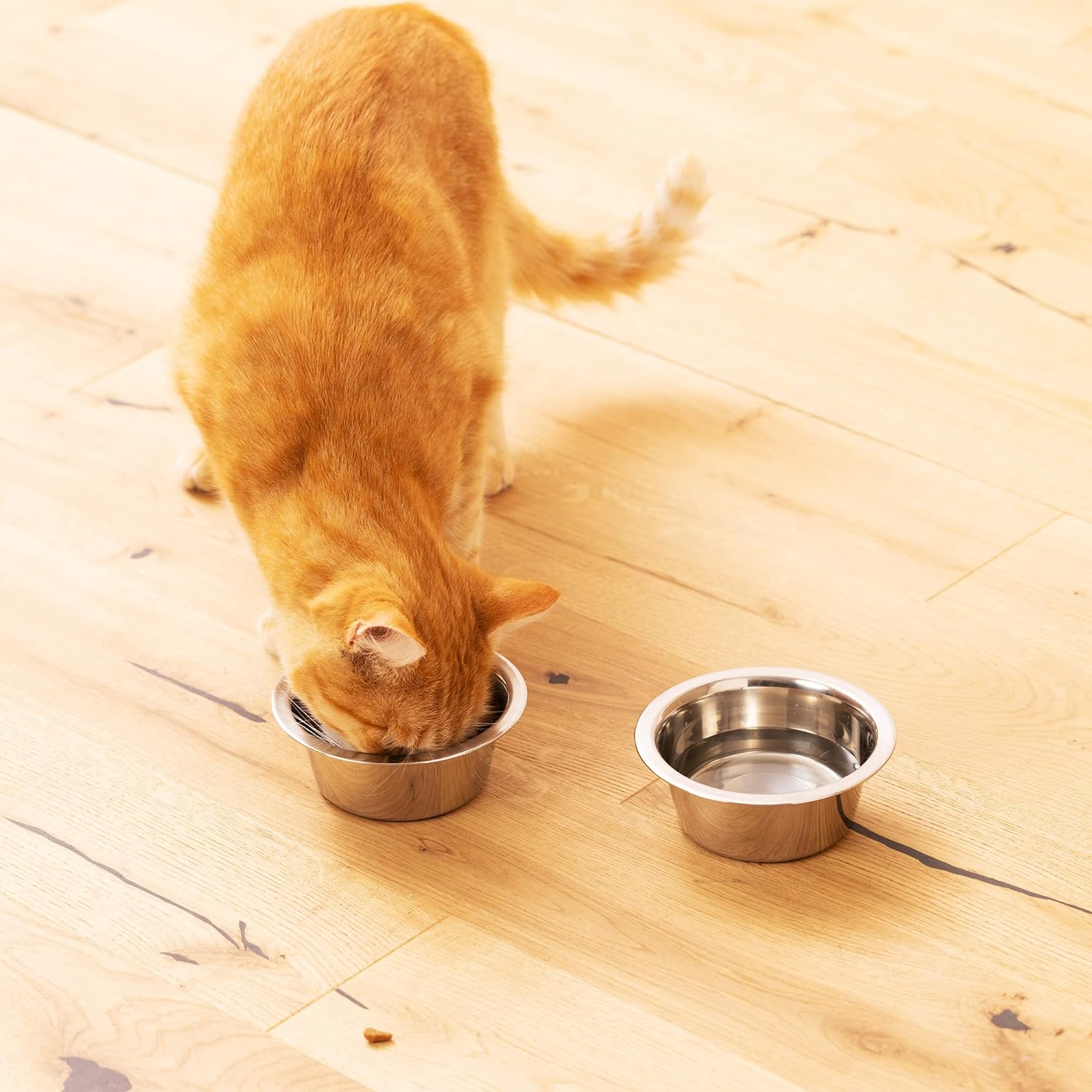 Navaris Σετ με 2 Ανταλλακτικά Μπολ Φαγητού και Νερού από Ανοξείδωτο Ατσάλι - 350 ml - Silver - 58405.01