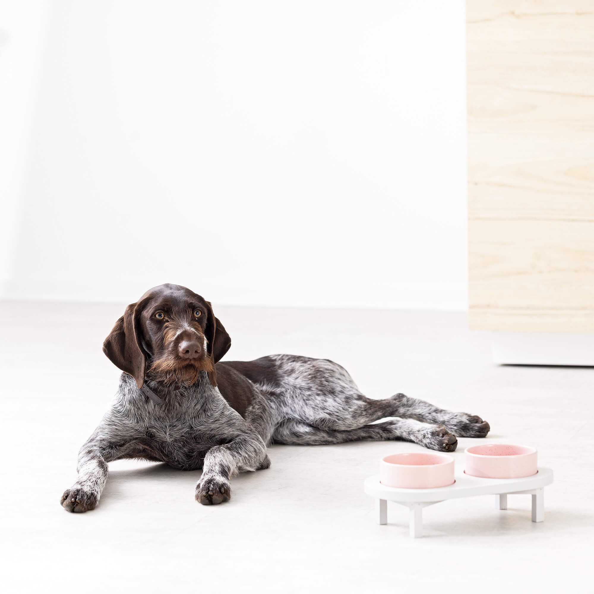 Navaris Ανυψωμένα Κεραμικά Μπολ Φαγητού με Ξύλινη Βάση για Κατοικίδια - 450ml - Pink - 56253.08