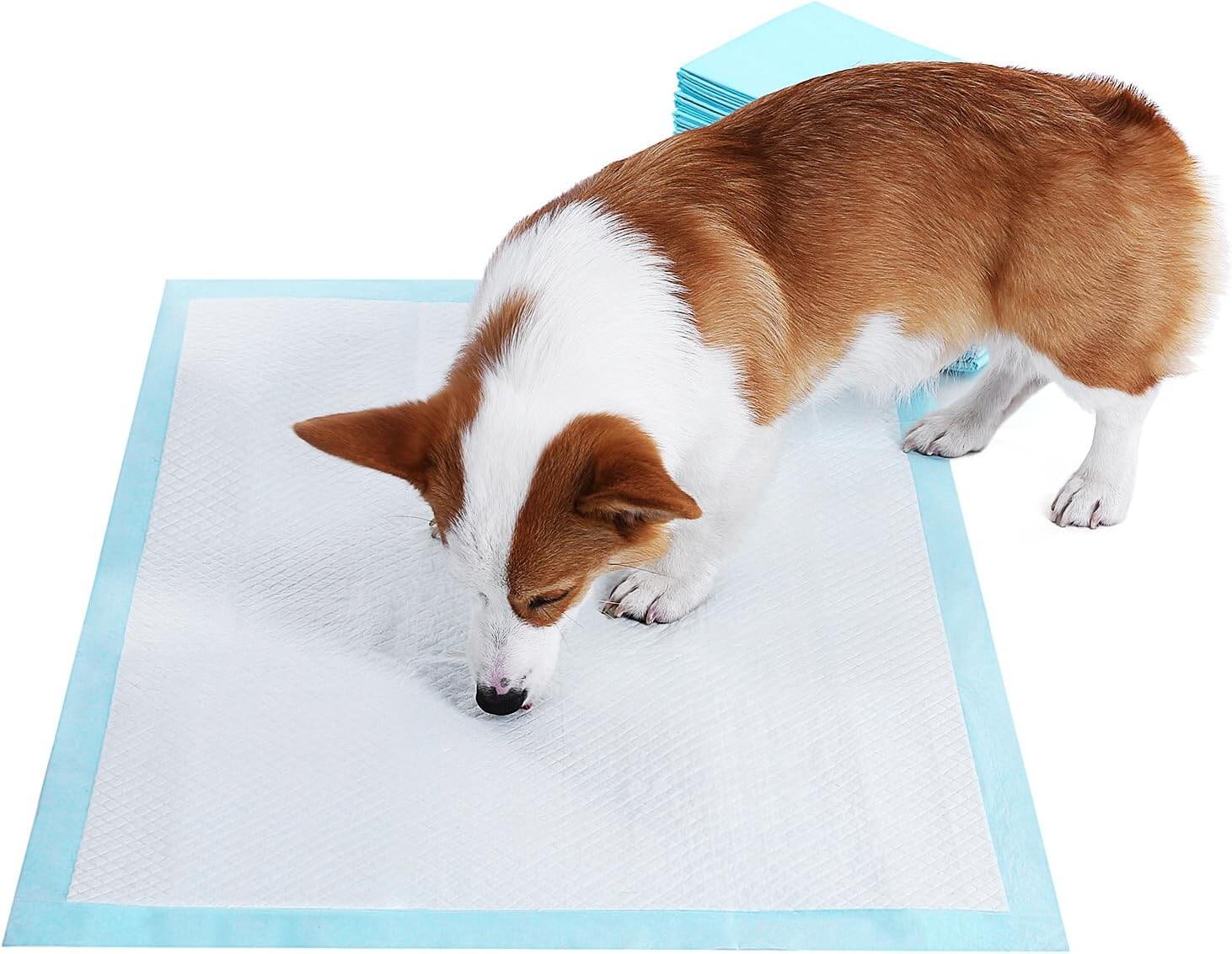 Feandrea Επιδαπέδιες Πάνες Εκπαίδευσης για Κουτάβια - 100 Τεμάχια - White / Blue - PTD60B