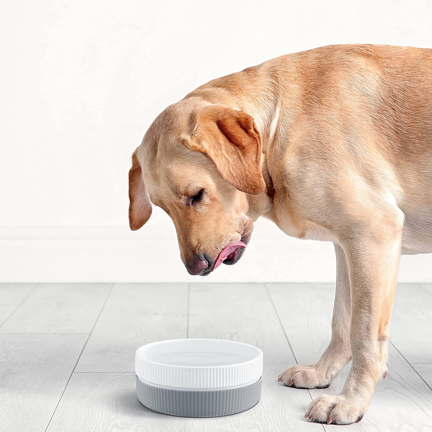 Navaris Σετ με 2 Κεραμικά Μπολ 700ml για Κατοικίδια - Grey - 53411.22