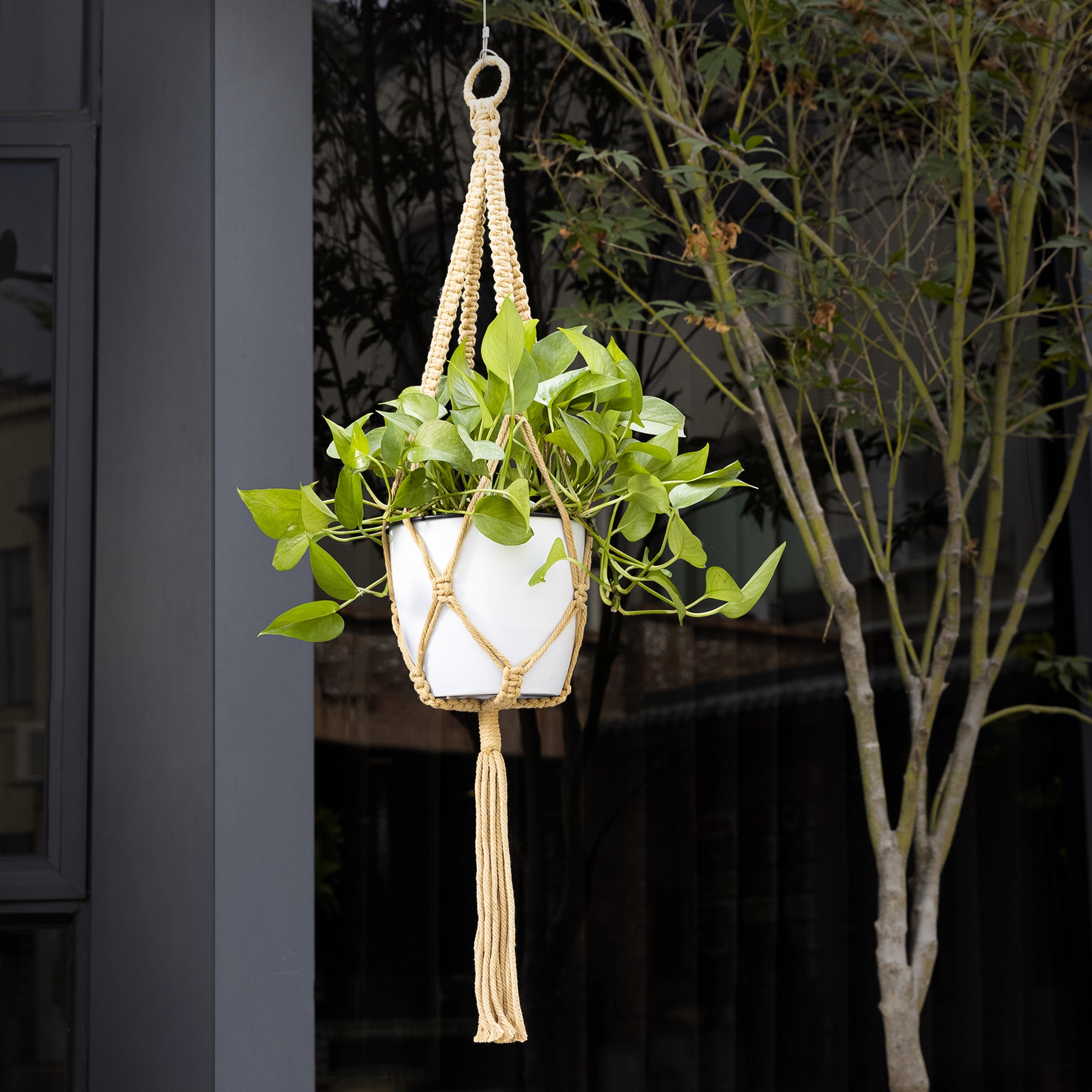 Navaris Σετ με 5 Μακραμέ Θήκες για Γλάστρες - Multicolor - 55717.01