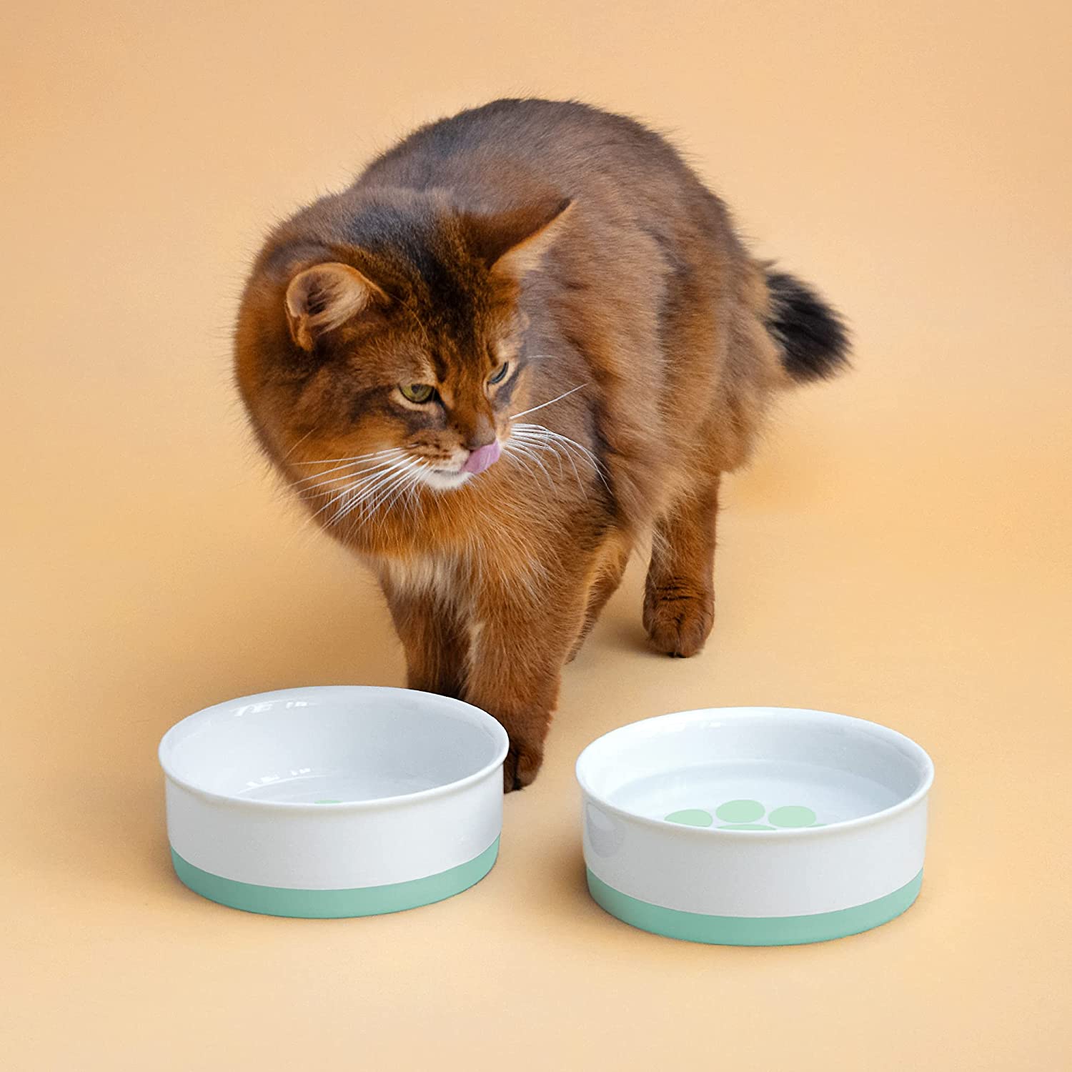 Navaris Σετ με 2 Μπολ Φαγητού και Νερού με Βάση από Σιλικόνη για Κατοικίδια - Light Green - 48520.02.07