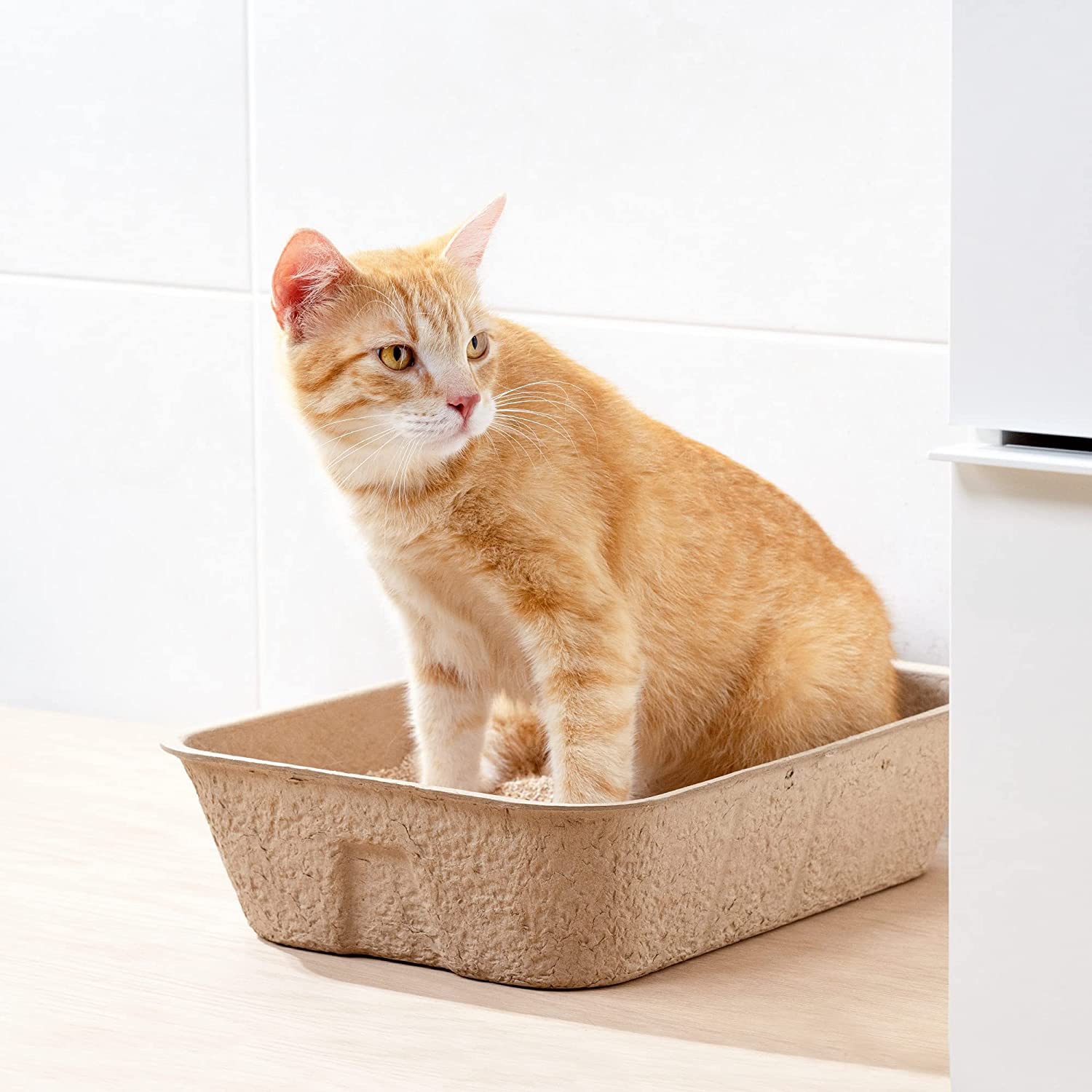 Navaris Cat Toilet Box Paper Bowl - Δίσκος Απορριμμάτων για Γάτες - 5 Τεμάχια - Brown - 54043.05