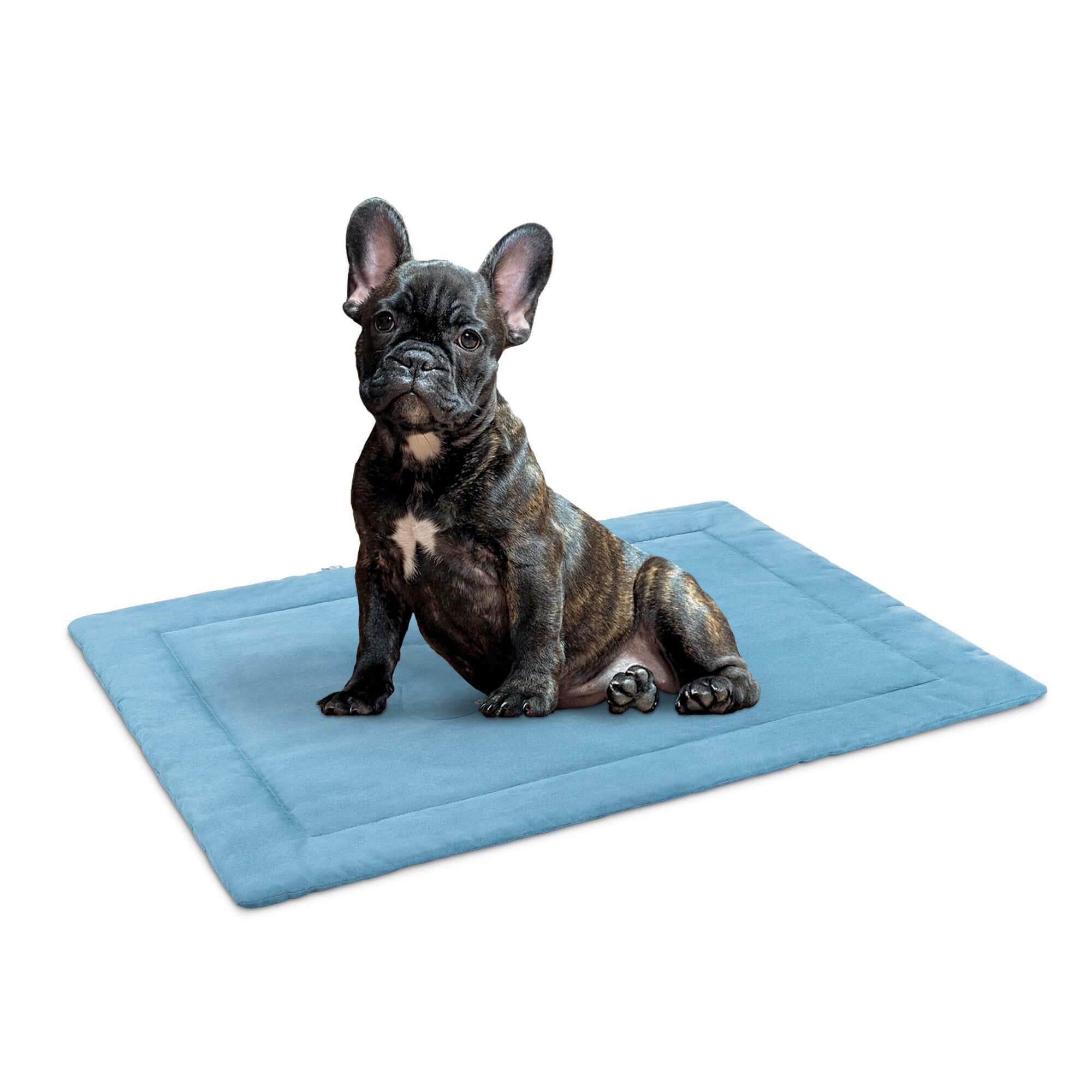 Navaris Κρεβάτι Ταξιδίου για Σκύλους - 86,5 x 65 x 1 cm - Blue - 55579.04