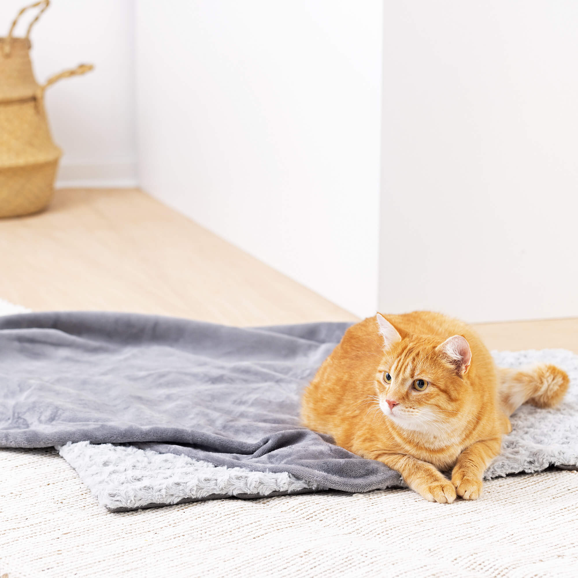 Navaris Σετ Χαλάκι και Κουβέρτα για Σκύλους και Γάτες - 50 x 80 cm / 87 x 115 cm - Grey - 56631.19.2