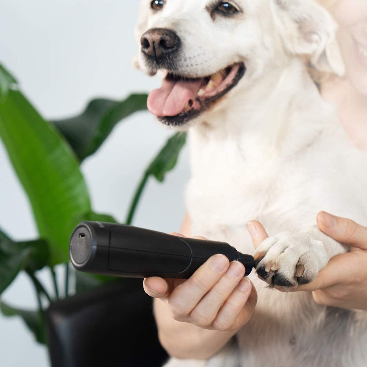 Navaris Επαναφορτιζόμενη Λίμα για Κατοικίδια - Black - 44352