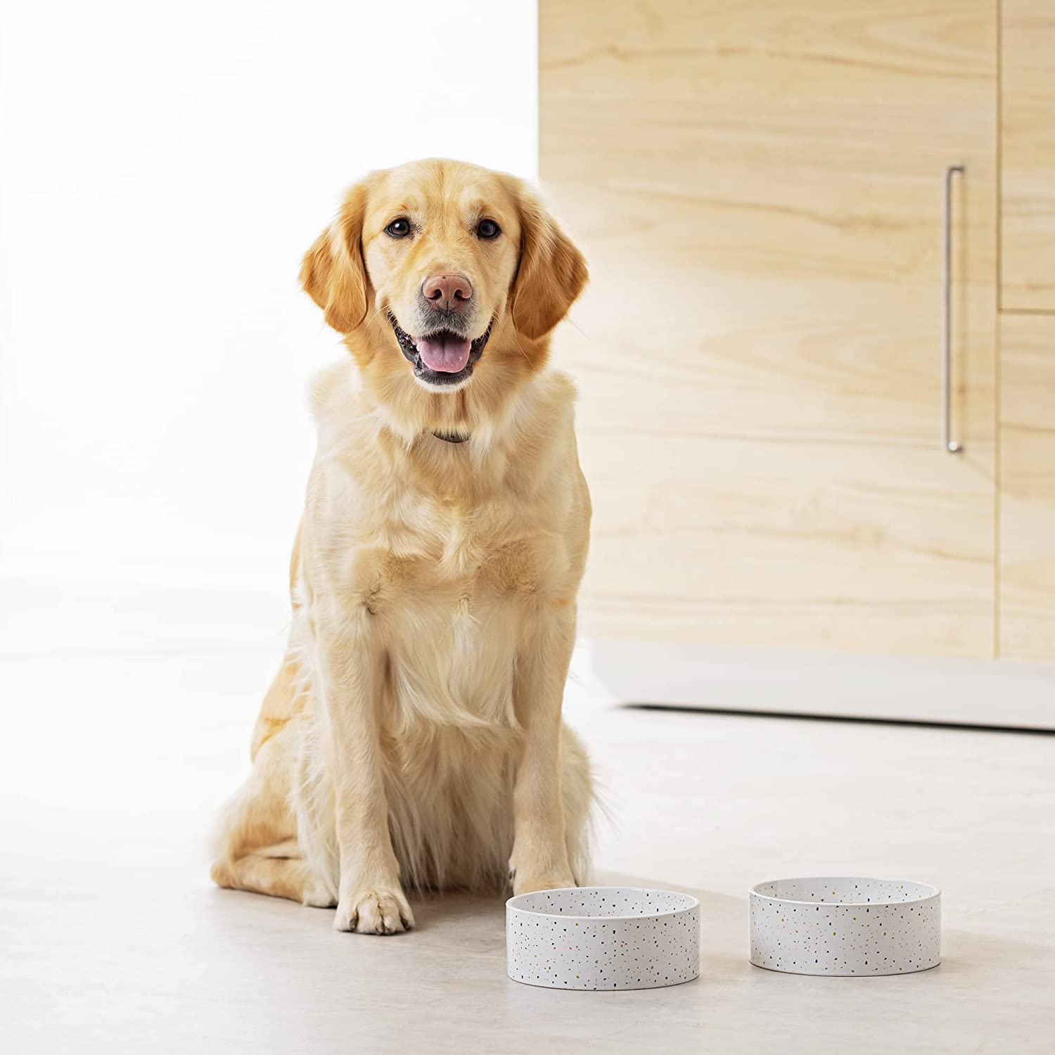 Navaris Σετ με 2 Κεραμικά Μπολ Φαγητού και Νερού για Κατοικίδια - White - 55231.02