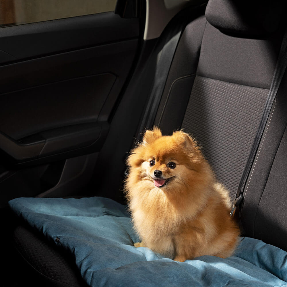 Navaris Κρεβάτι Ταξιδίου για Σκύλους - 86,5 x 65 x 1 cm - Blue - 55579.04