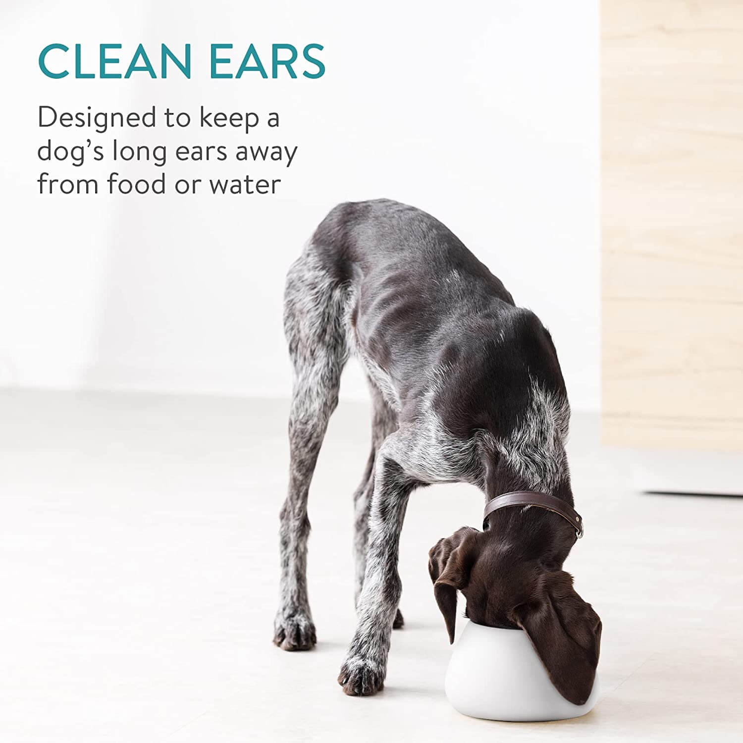 Navaris Κεραμικό Μπολ Φαγητού και Νερού για Κατοικίδια - 1.9L - White / Blue - 56612.04