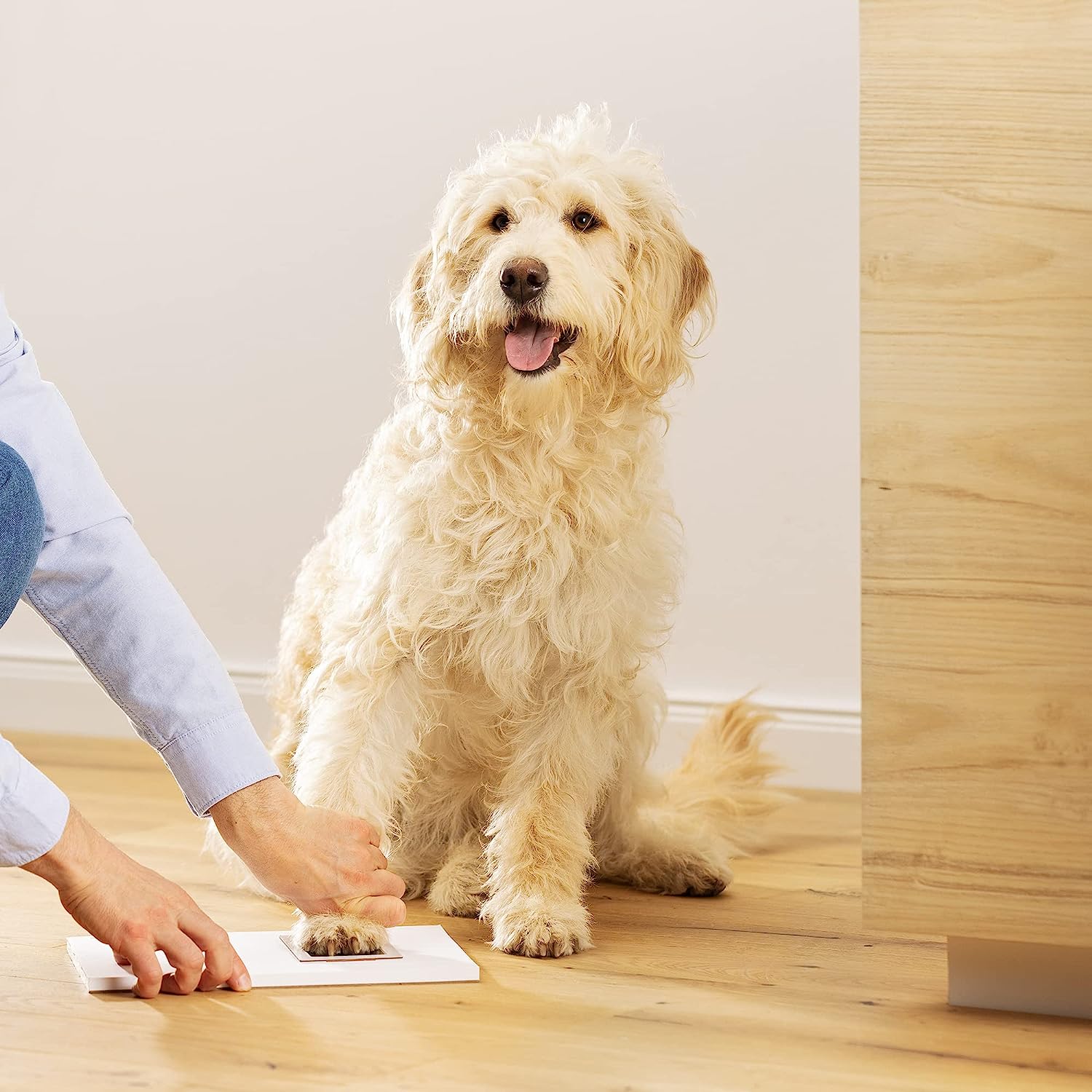 Navaris Κορνίζα για Αποτύπωμα Κατοικίδιου με Χώρο για 2 Φωτογραφίες - 22 x 22,6 x 12 cm - Black - 60544.01