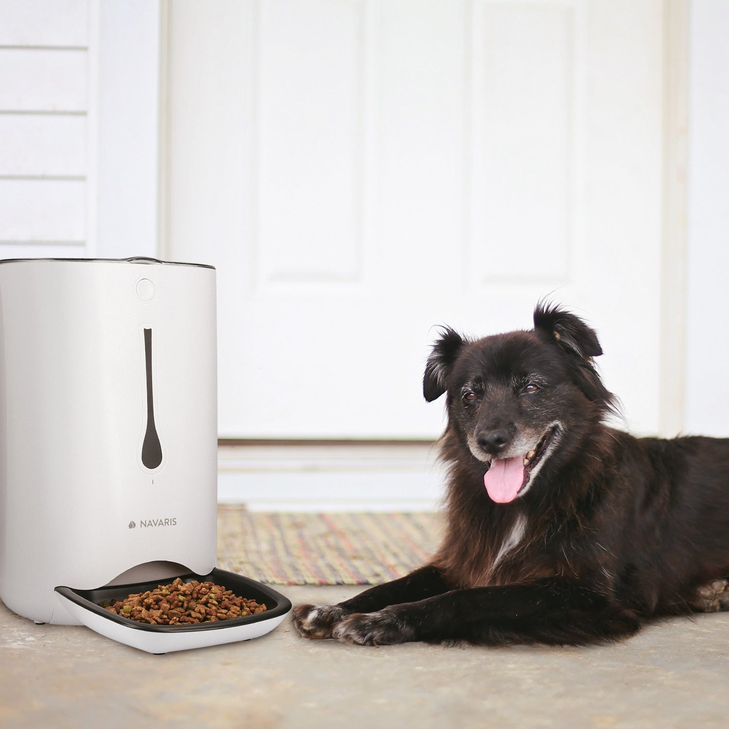 Navaris Automatic Pet Food Dispenser - Αυτόματη Ταΐστρα Φαγητού με Χρονοδιακόπτη για Κατοικίδιο - 6L - White - 44769.01