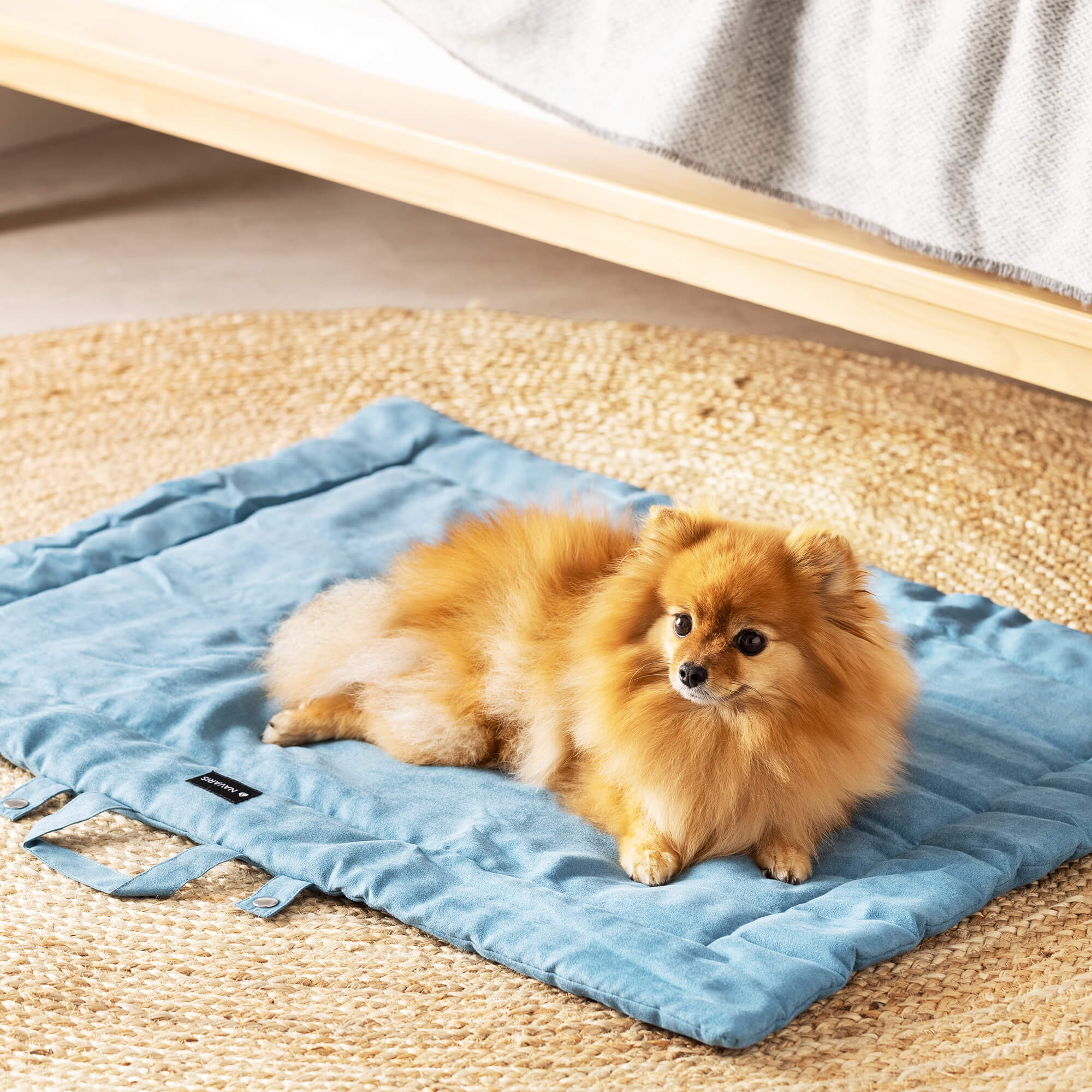 Navaris Κρεβάτι Ταξιδίου για Σκύλους - 86,5 x 65 x 1 cm - Blue - 55579.04