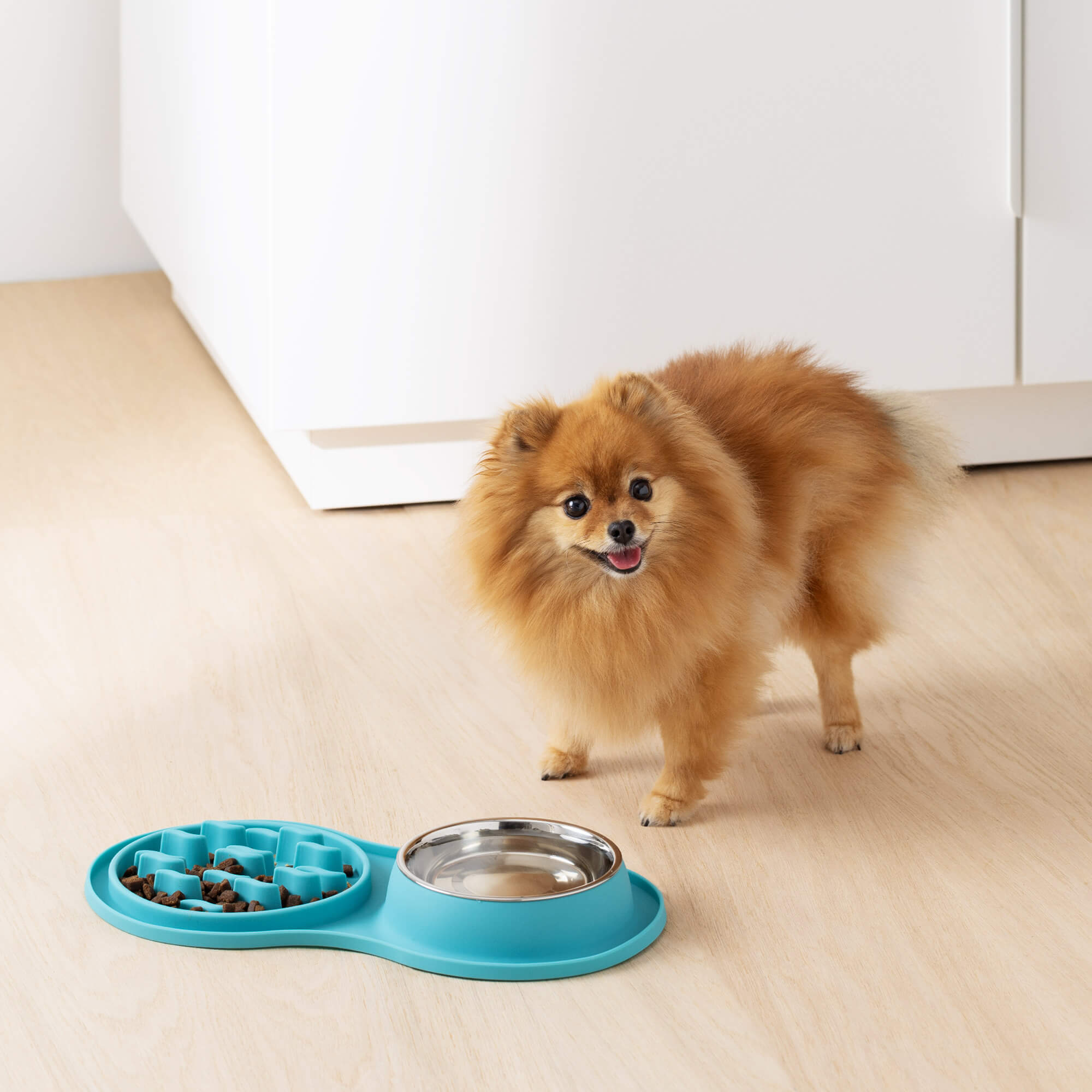 Navaris Slow-Feeder Μπολ Αργής Κατάποσης από Σιλικόνη - Turquoise - 55134.37