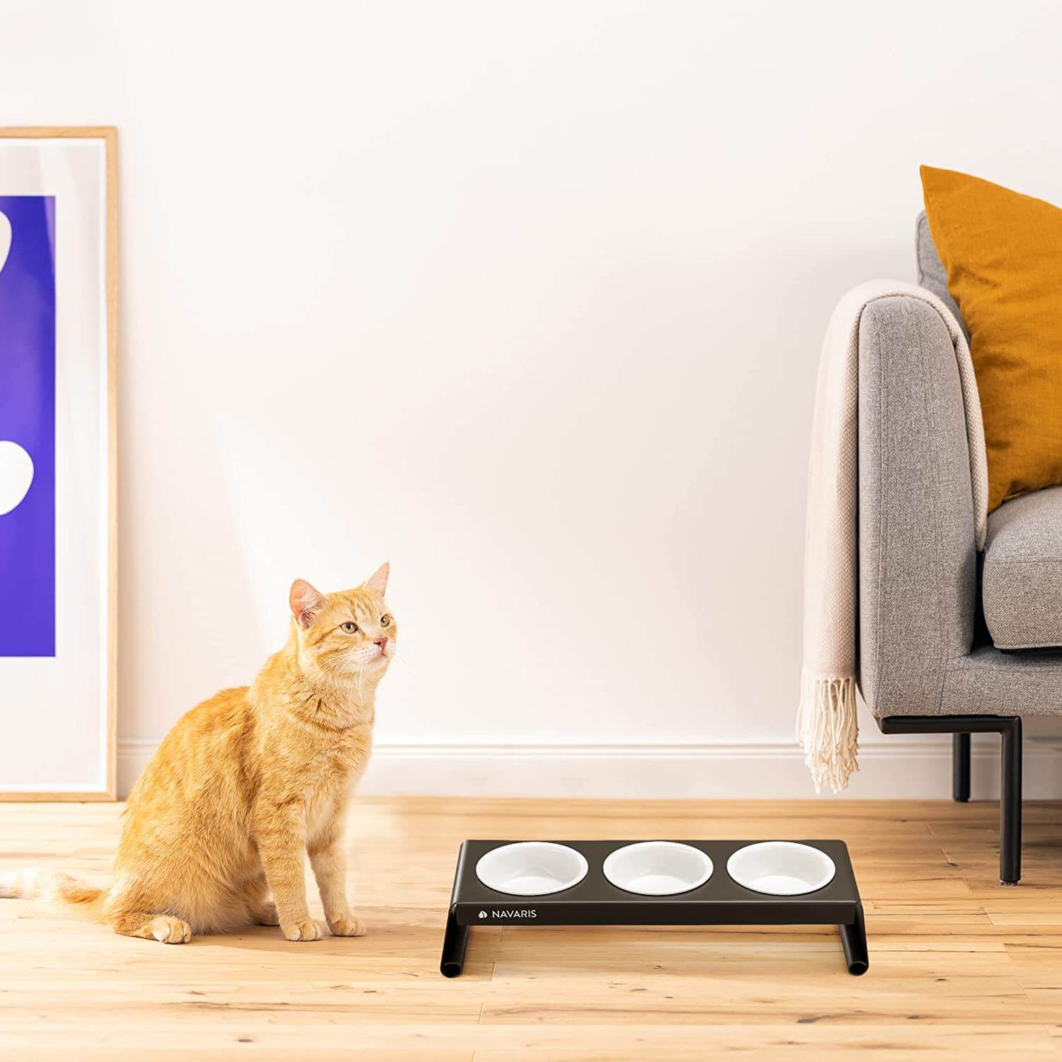 Navaris Σετ με 3 Κεραμικά Μπολ Φαγητού και Νερού με Μεταλλική Βάση για Κατοικίδια - 350ml - ‎Dark Grey - 59326.01.19