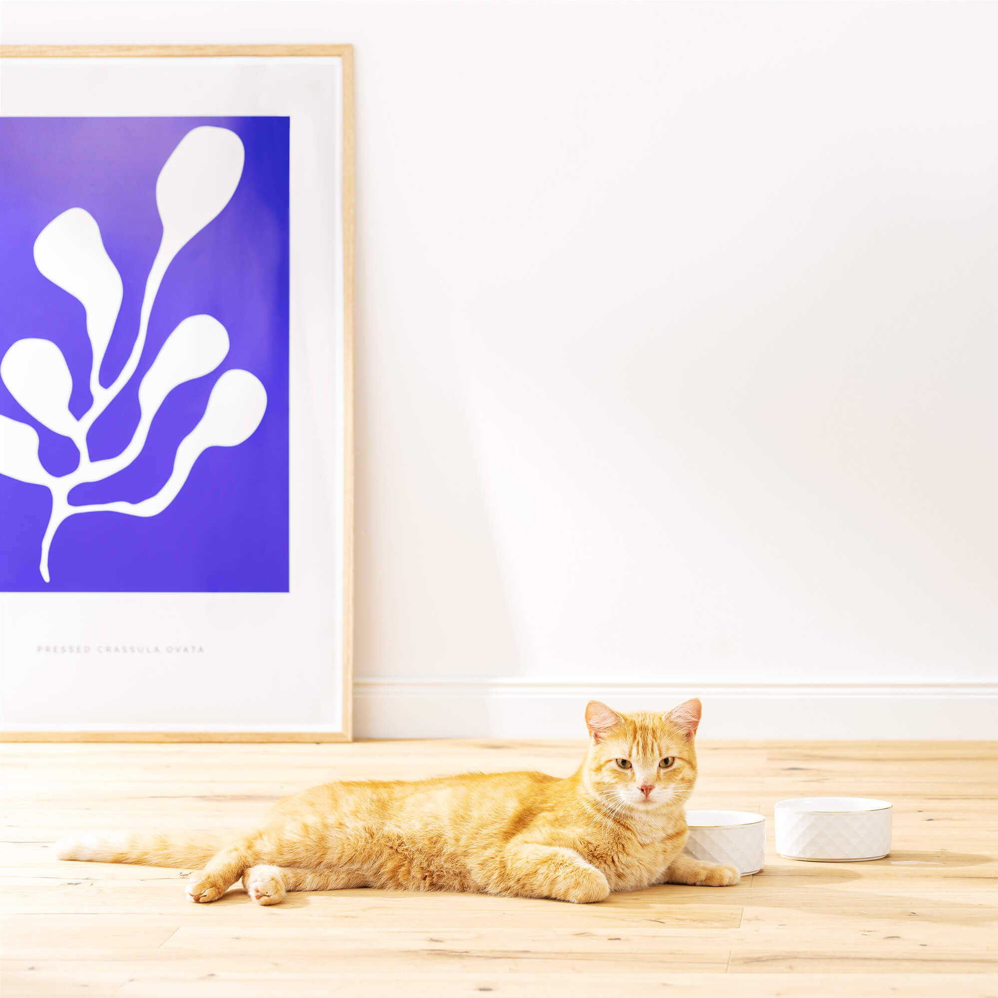 Navaris Σετ με 1 Βάζο Αποθήκευσης και 2 Κεραμικά Μπολ Λιχουδιών για Κατοικίδια - White - 57145.02