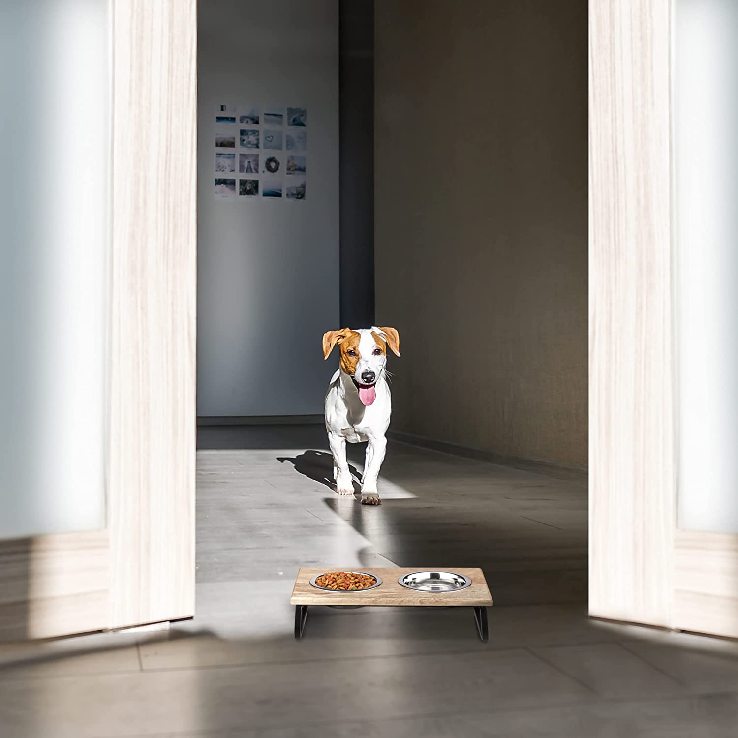 Relaxdays Ξύλινη Βάση από Μάνγκο με 2 Μπολ από Ανοξείδωτο Ατσάλι για Κατοικίδια - 250 ml - Natural / Silver - 4052025373818