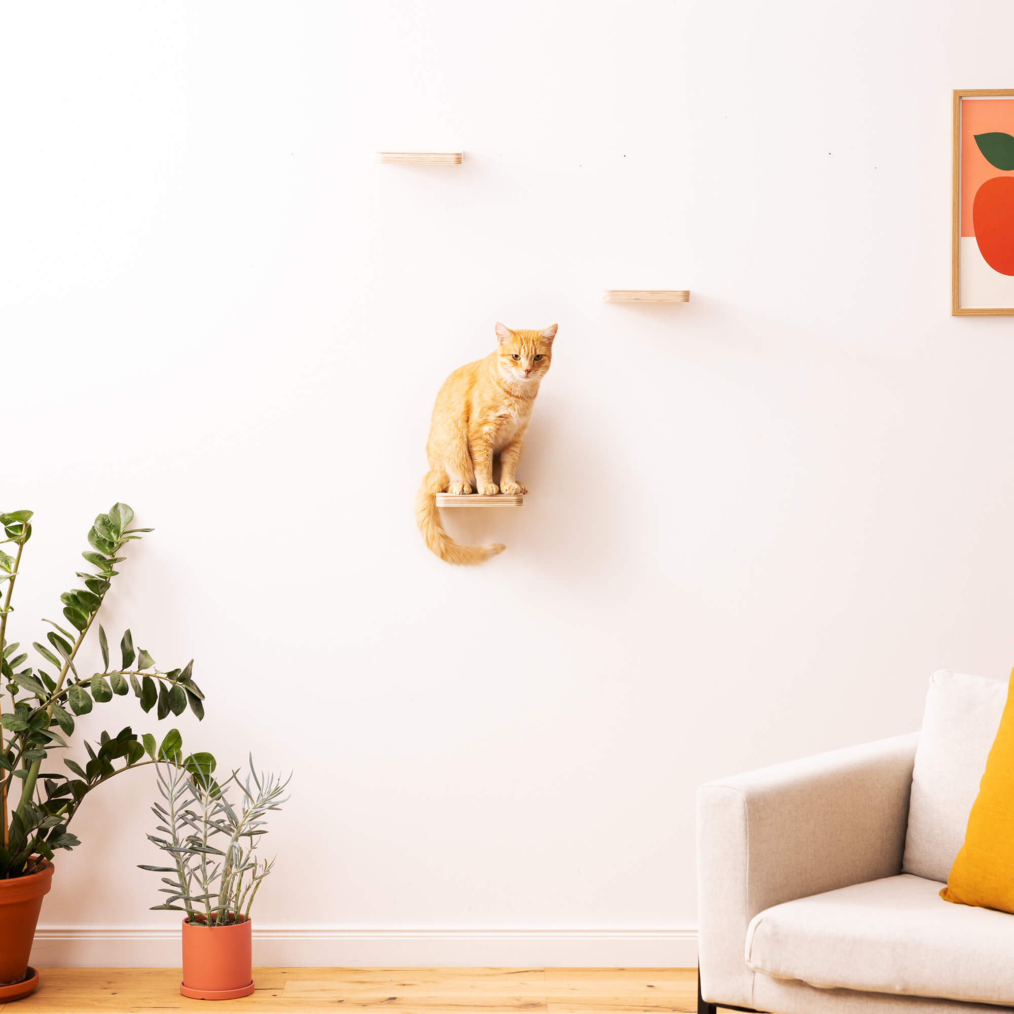 Navaris Επιτοίχια Σκαλοπάτια Αναρρίχησης για Γάτες - Beige - 59243.01
