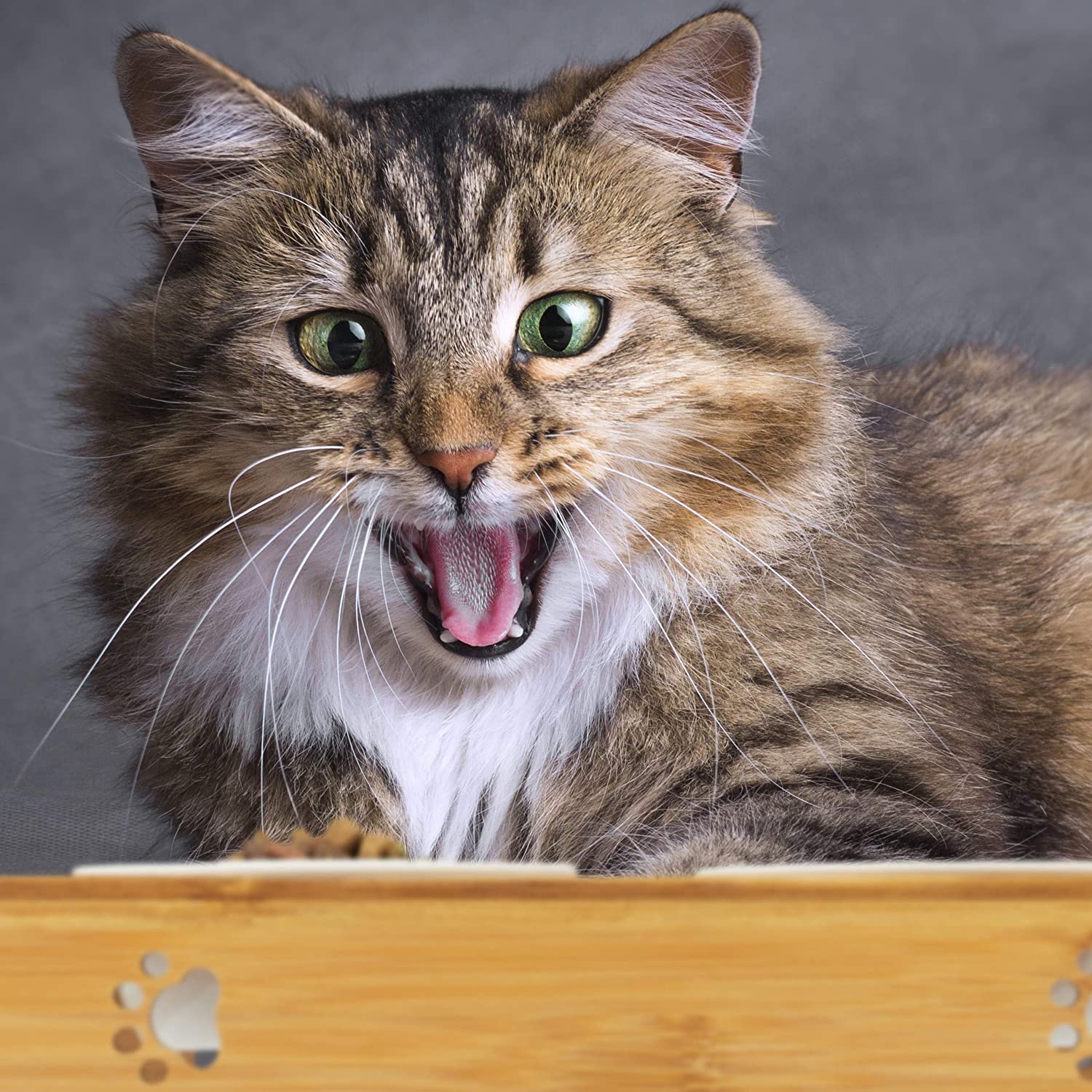 Relaxdays Σετ με 2 Κεραμικά Μπολ σε Βάση από Μπαμπού για Κατοικίδια - 180 ml - Natural - 4052025916114