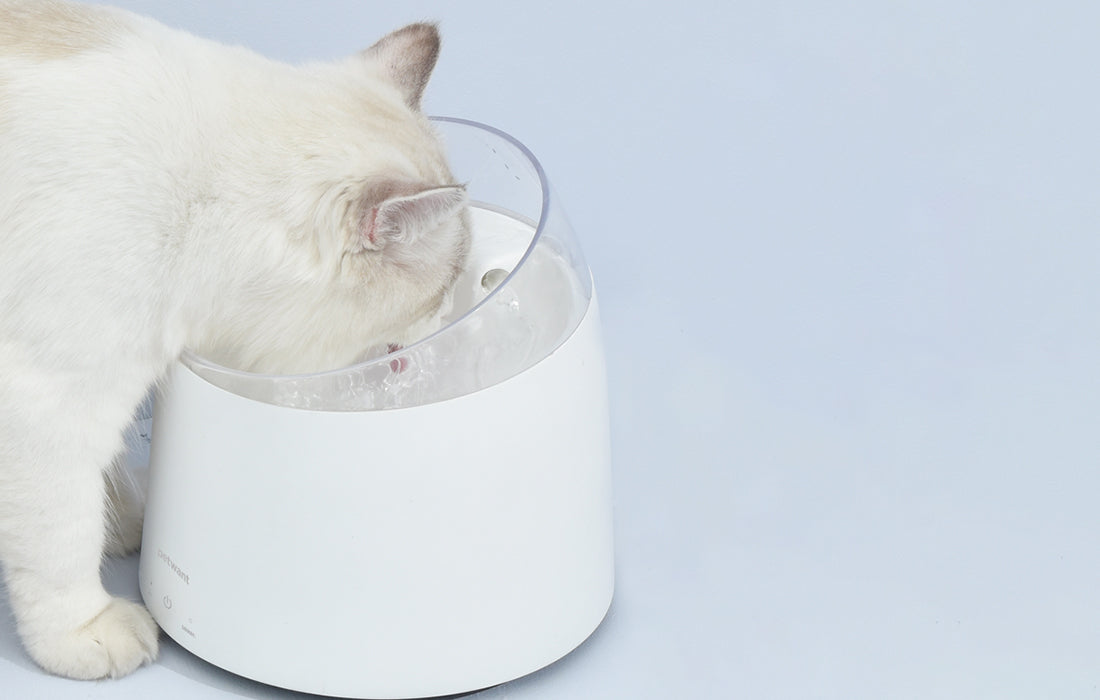 PetWant W2 Ποτίστρα - Σιντριβάνι για Γάτες και Σκύλους - 1,5L - White