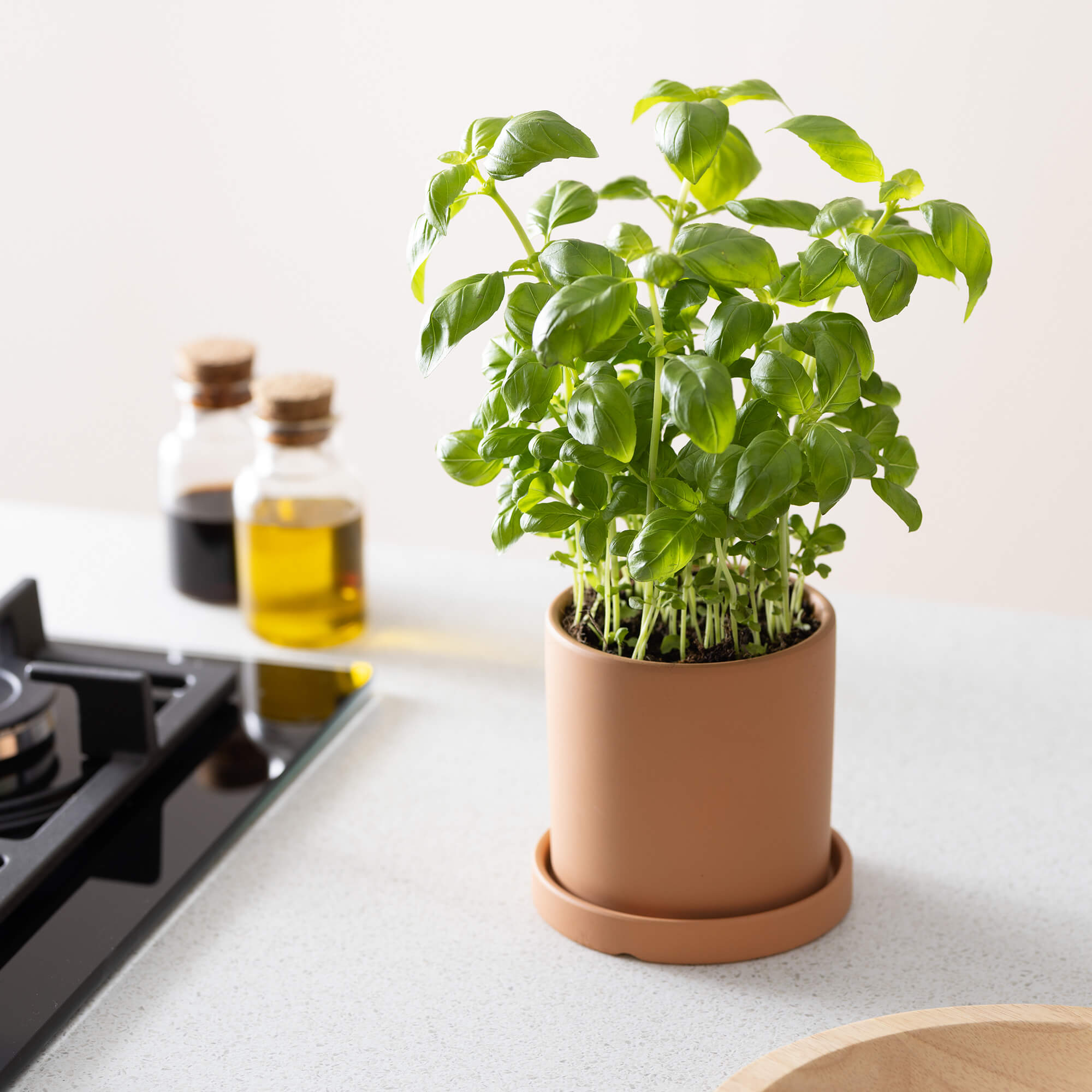 Navaris Σετ με 2 Κεραμικές Γλάστρες - Small and Medium - Red - 56332.1.09