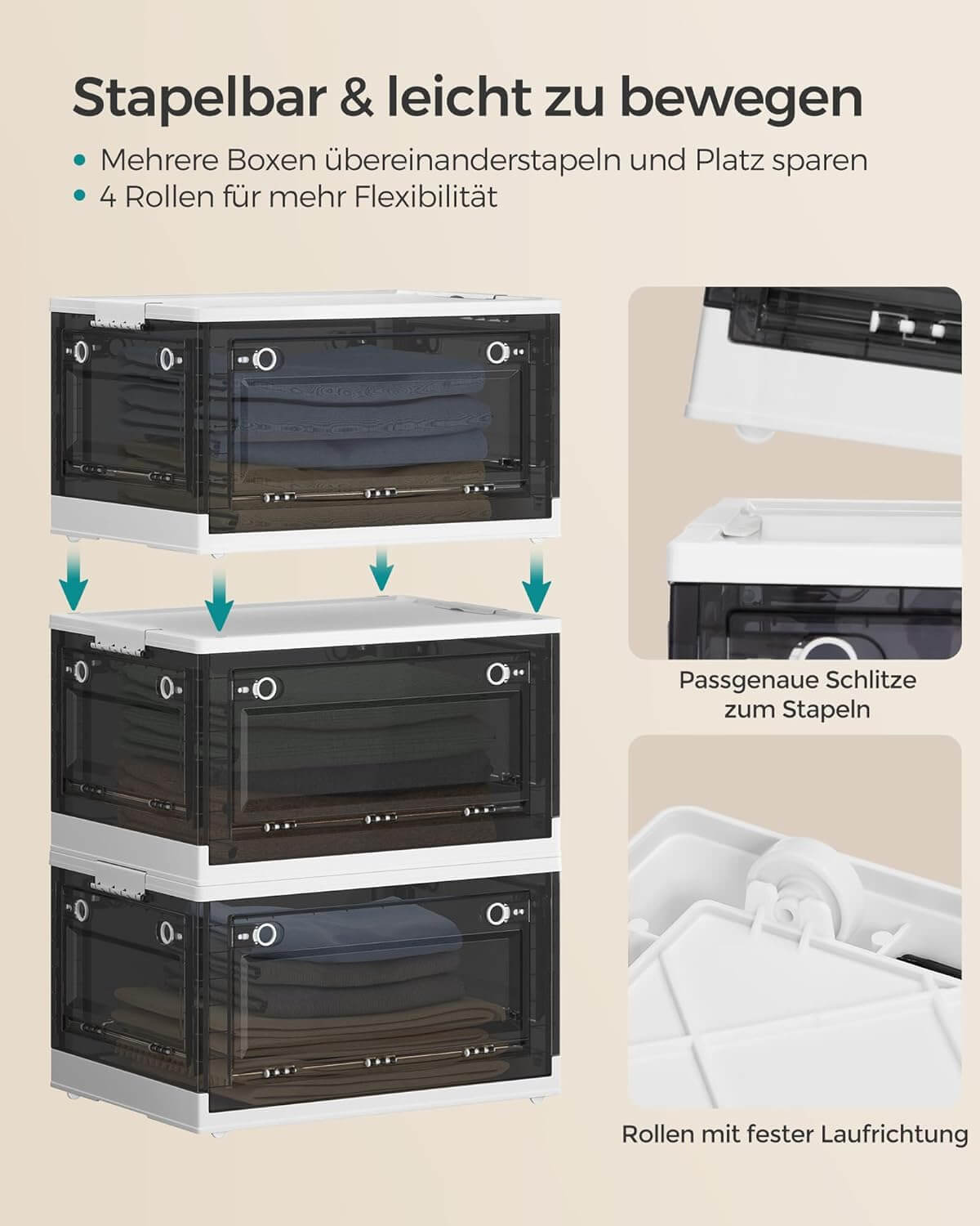 Songmics Σετ με 2 Πλαστικά Κουτιά Οργάνωσης και Αποθήκευσης με Καπάκι - Cloud White / Slate Grey - RPB044W02