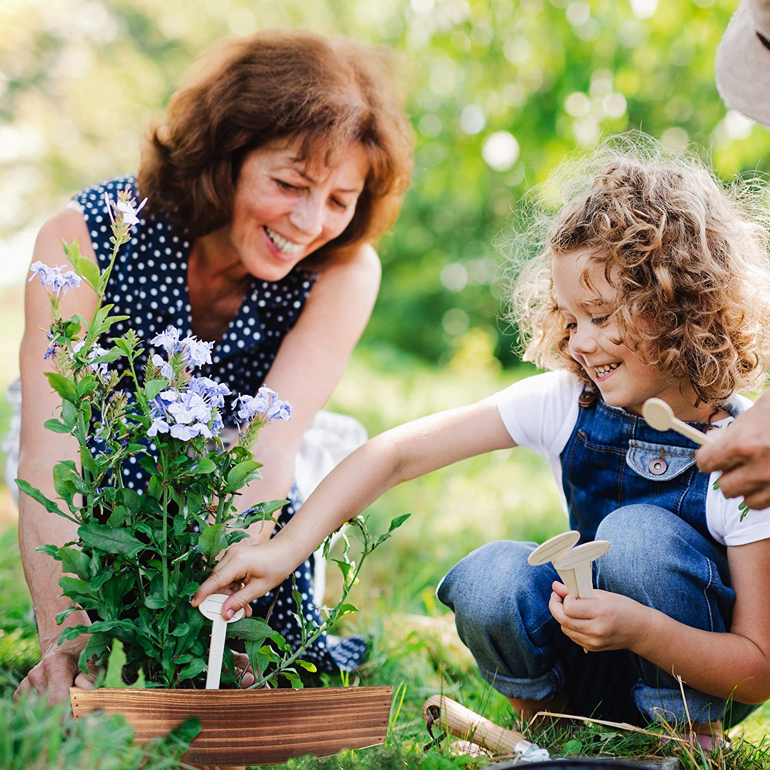 Relaxdays Σετ με 2 Ξύλινα Διακοσμητικά Κασπώ - Natural - 4052025344023