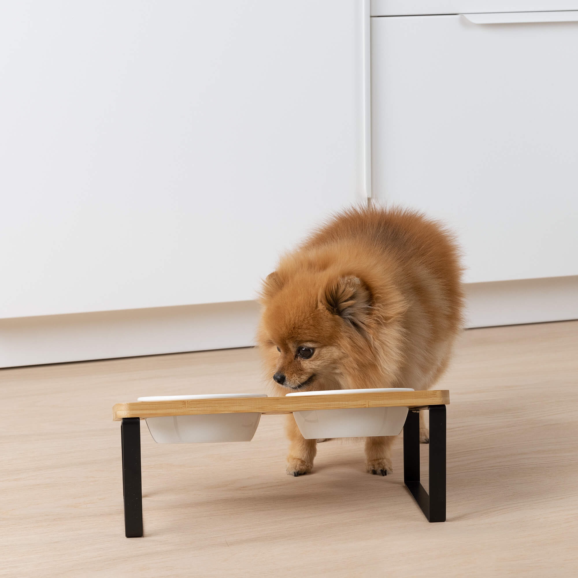 Navaris Ανυψωμένα Μπολ Φαγητού με Βάση για Κατοικίδια - 350 ml - Light Brown / Black - 55228.2