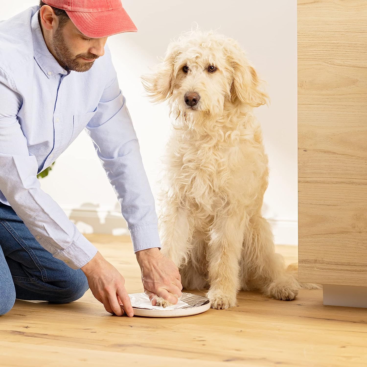 Navaris Κορνίζα 3 in 1 με Πηλό για Αποτύπωμα Κατοικίδιου και Θήκη για το Κολάρο - 27 x 28,5 x 4,5 cm - Black - 60667.01